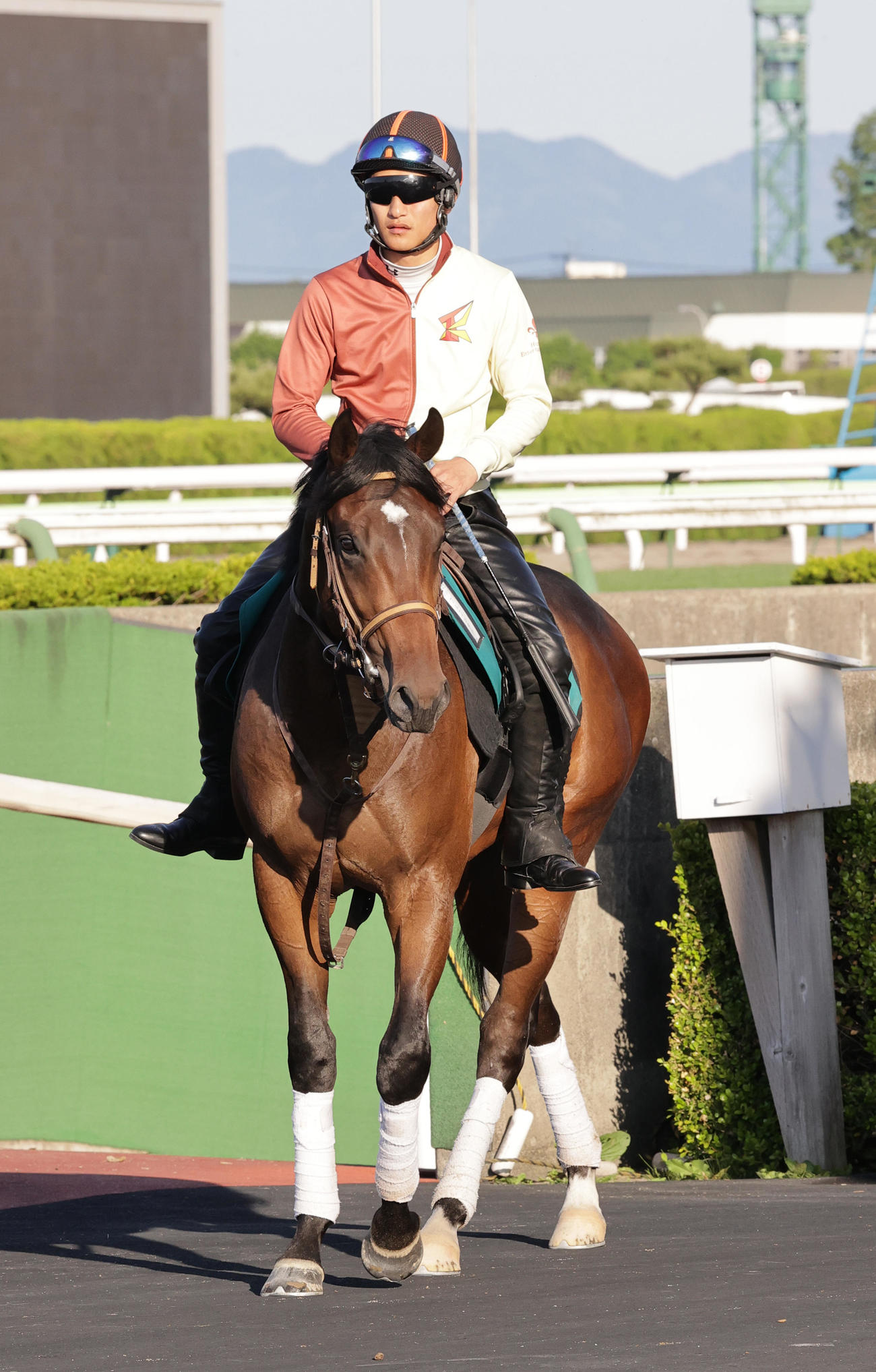 函館競馬場で順調な調整を積むフルコンタクト