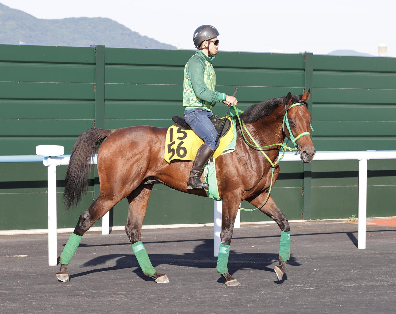 大沼S制覇に向けて、函館競馬場で調整を積むフルデプスリーダー