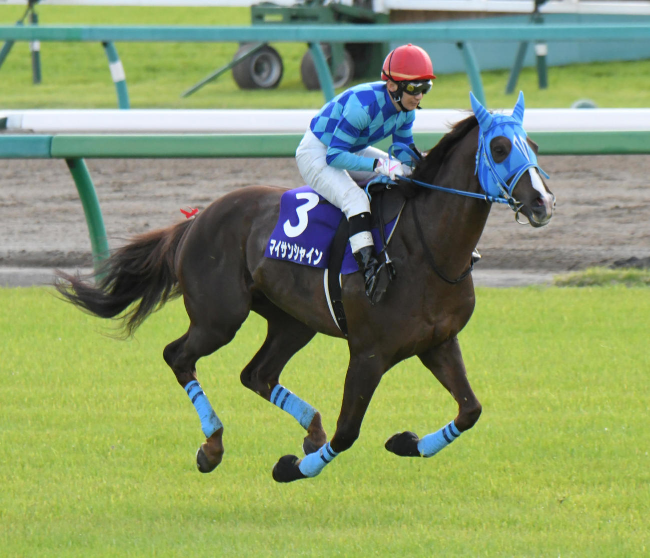 中山グランドジャンプに出走したマイサンシャインと難波騎手（2022年4月16日撮影）