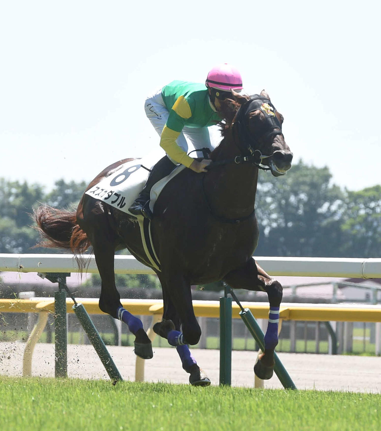2歳未勝利戦を勝ち上がったスズカダブルとダミアン・レーン騎手（撮影・柴田隆二）
