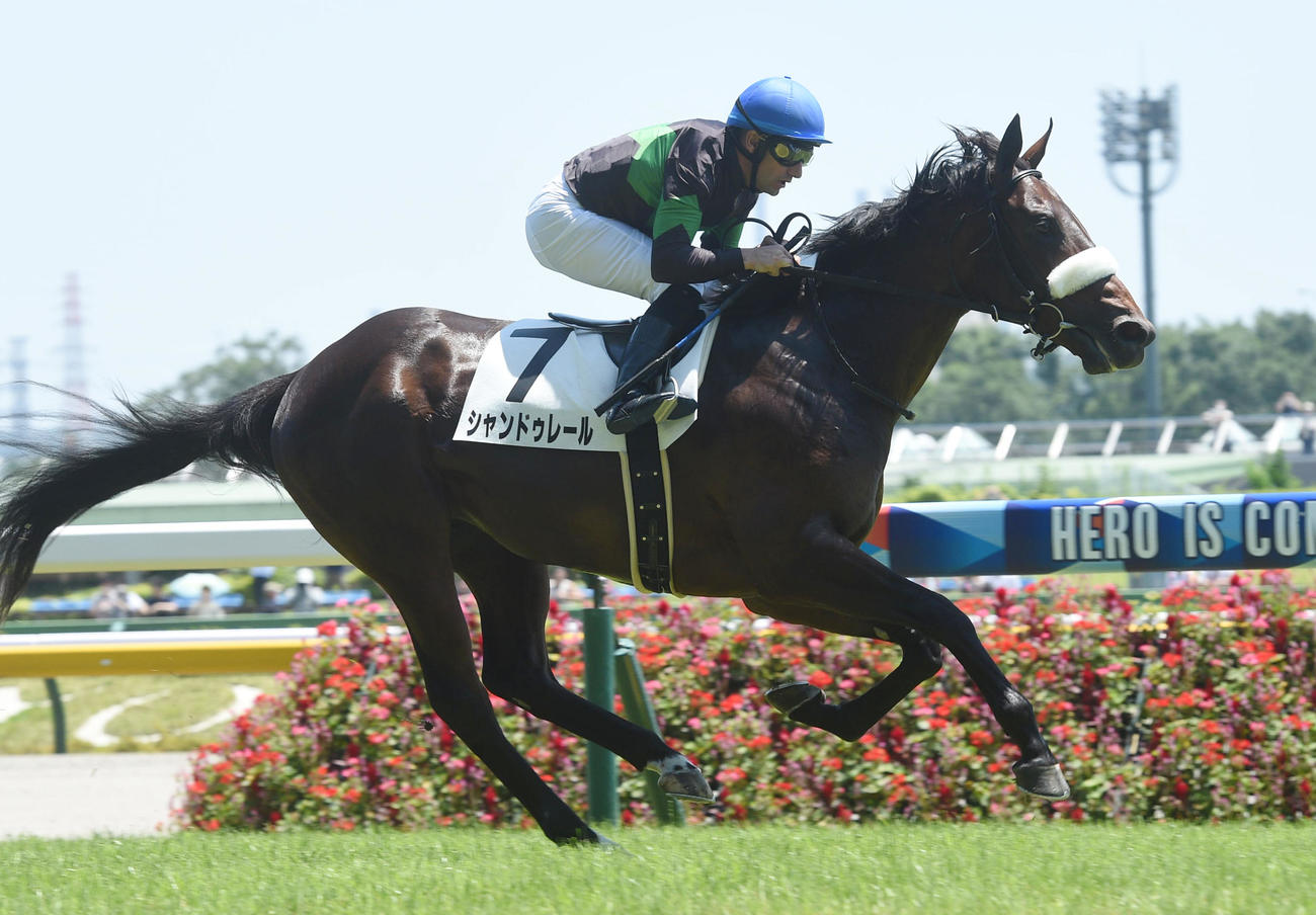 東京5R新馬戦を制したシャンドゥレールとM・デムーロ騎手（撮影・柴田隆二）