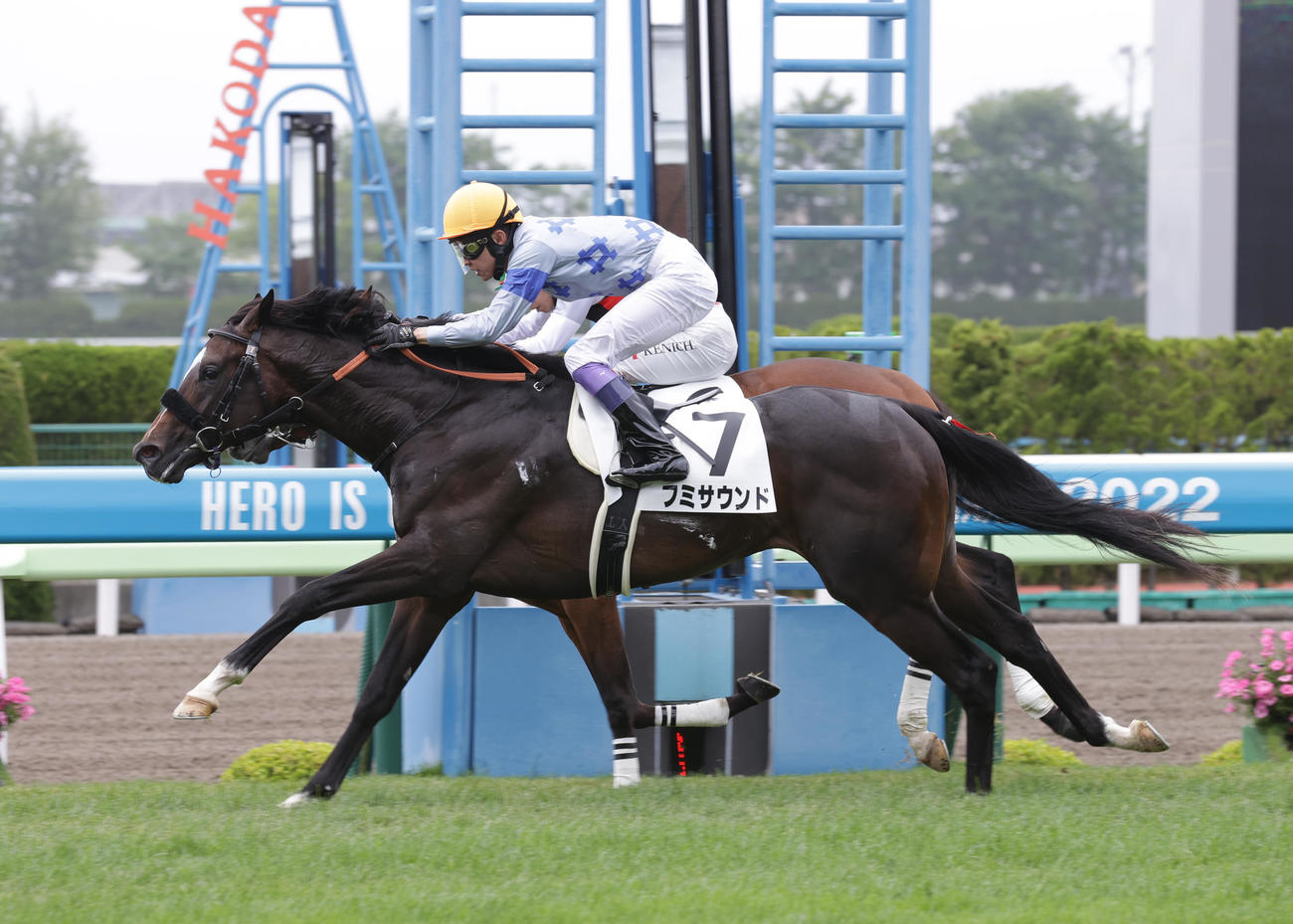 函館5R、デビュー戦を制したフミサウンド（撮影・村野早祐）