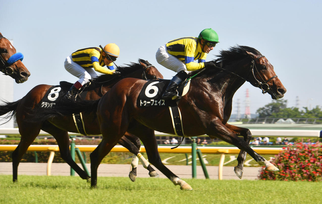 東京11R、江の島Sを制したトゥーフェイス（右）（撮影・柴田隆二）