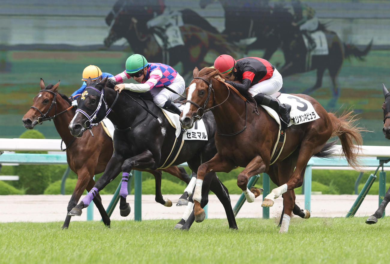 阪神5R、オリオンネビュラ（右）はゴール前でセミマル（中央）を差し切って新馬戦を制した