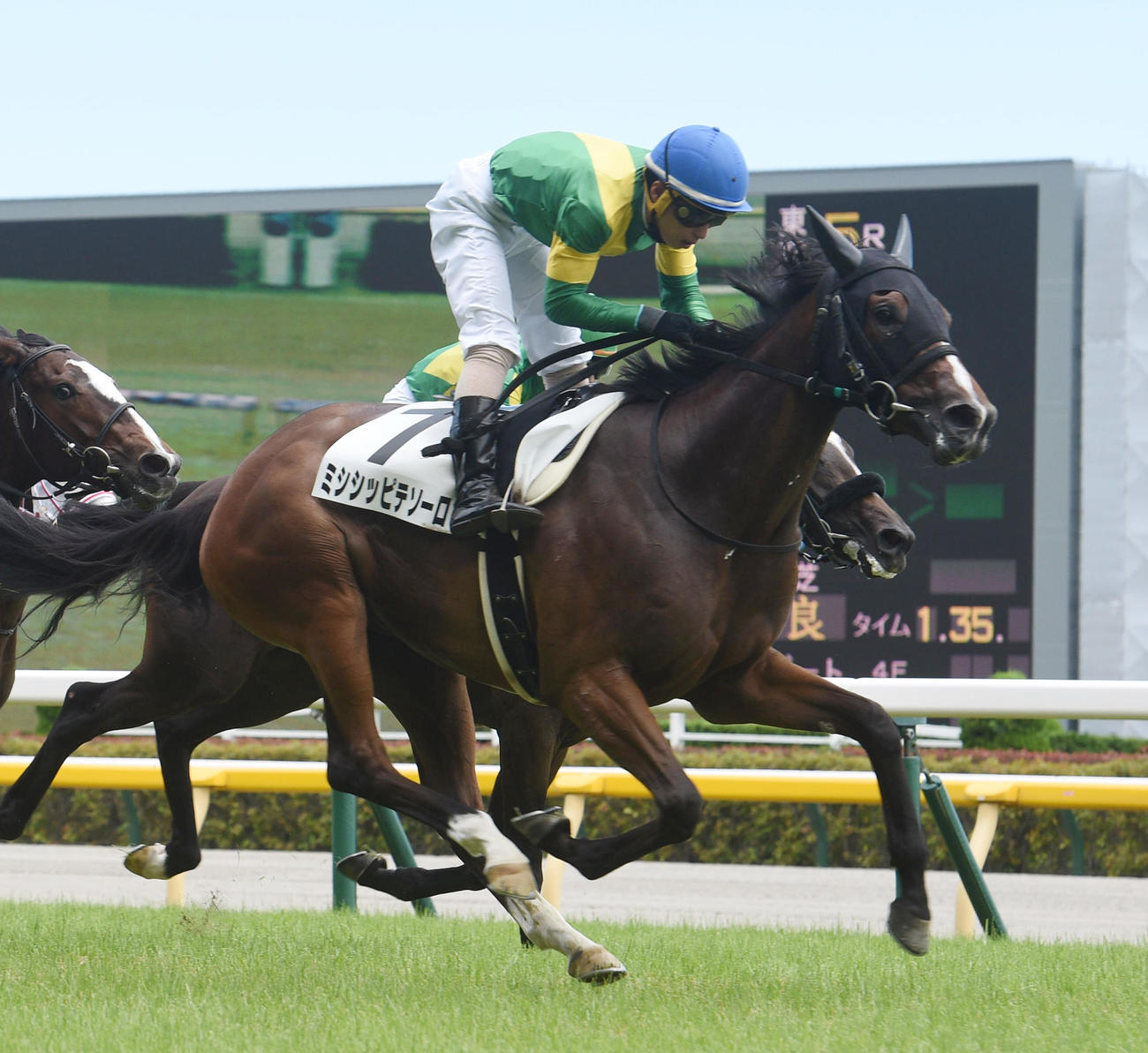 東京5R新馬戦を制したミシシッピテソーロと木幡巧也騎手（撮影・柴田隆二）