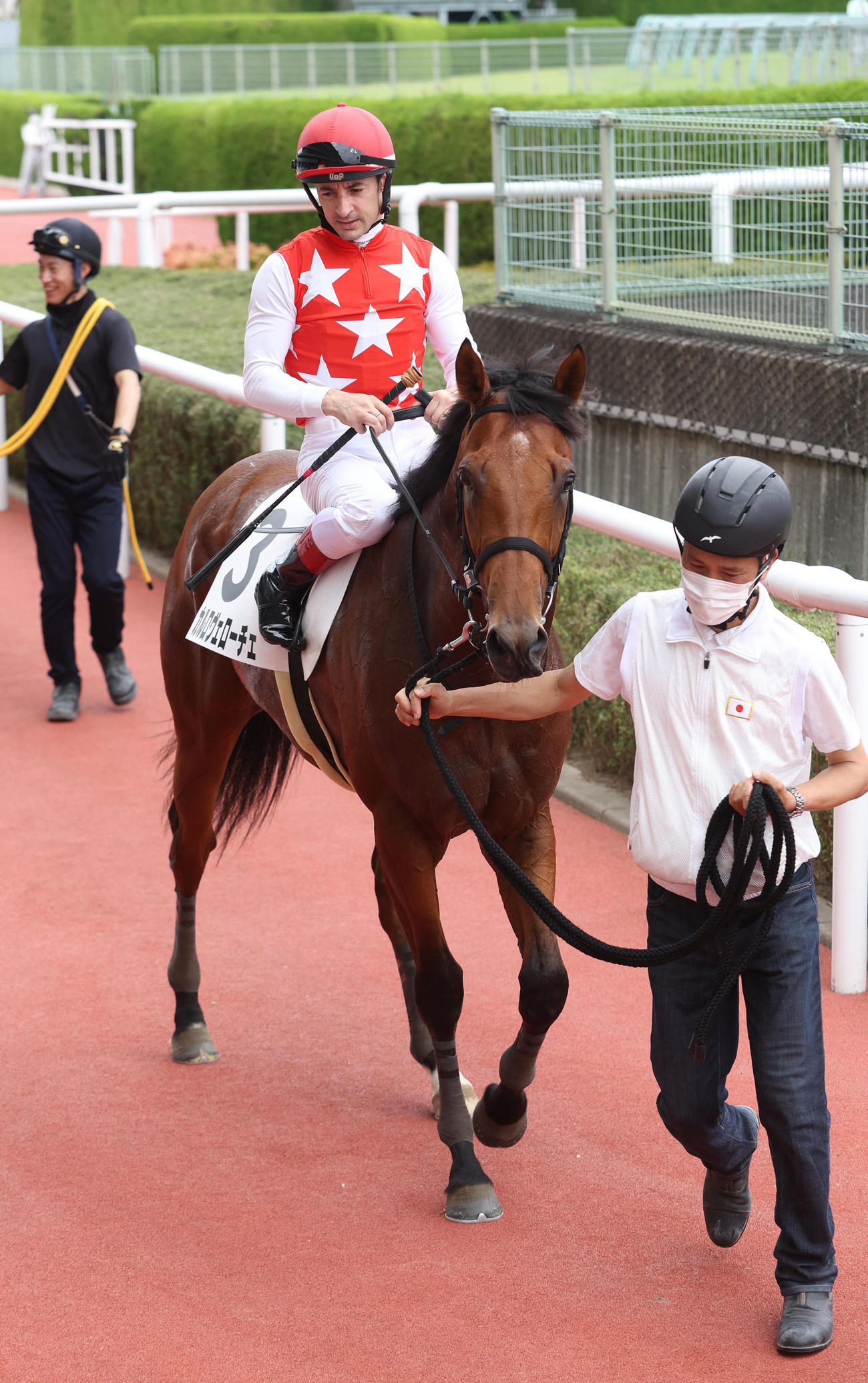 新馬戦を快勝したカルロヴェローチェ（撮影・白石智彦）