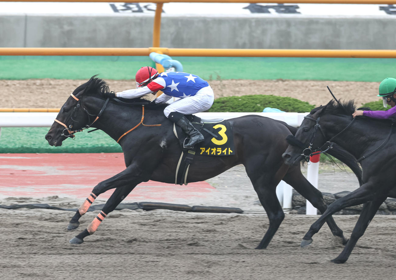 大沼Sを制したアイオライト（撮影・村野早祐）