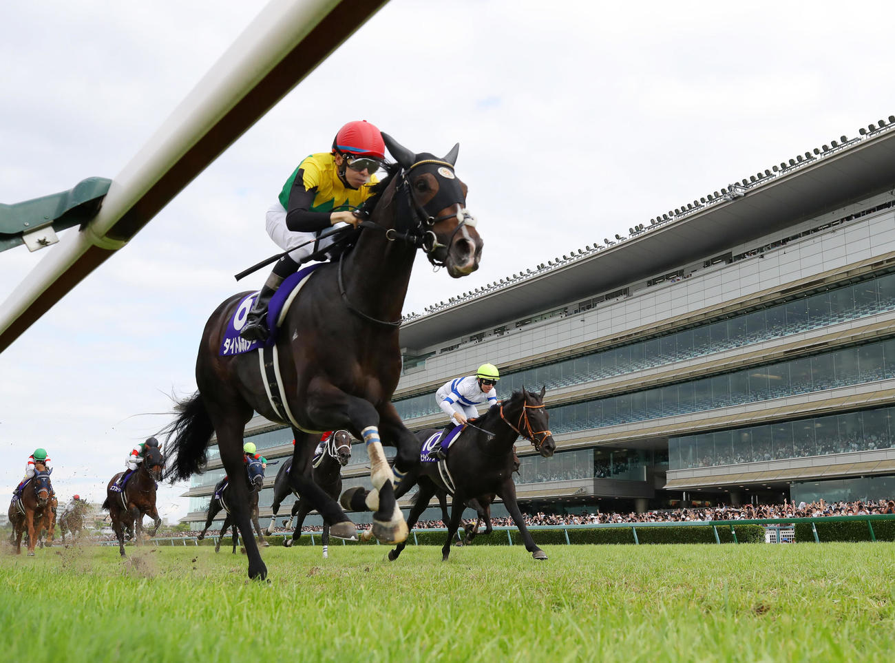 宝塚記念を勝利したタイトルホルダー。右は2着のヒシイグアス