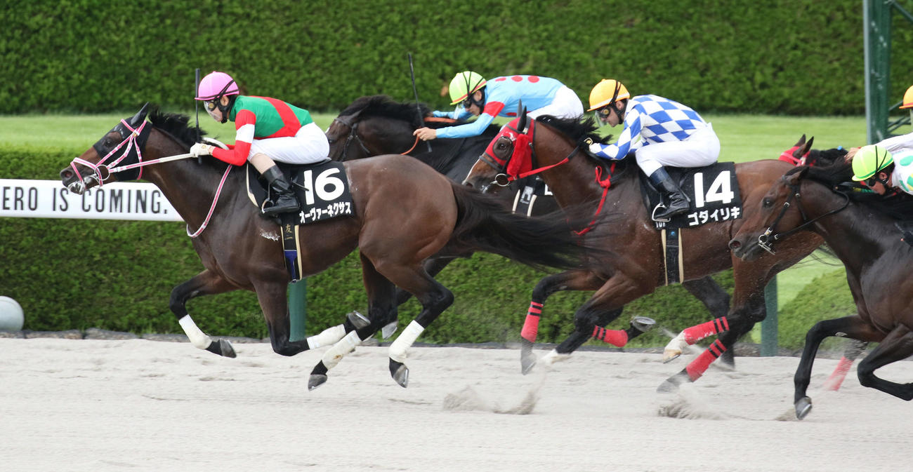 花のみちSをオーヴァーネクサスで制し復帰後初勝利を挙げた北村友騎手（撮影・渦原淳）
