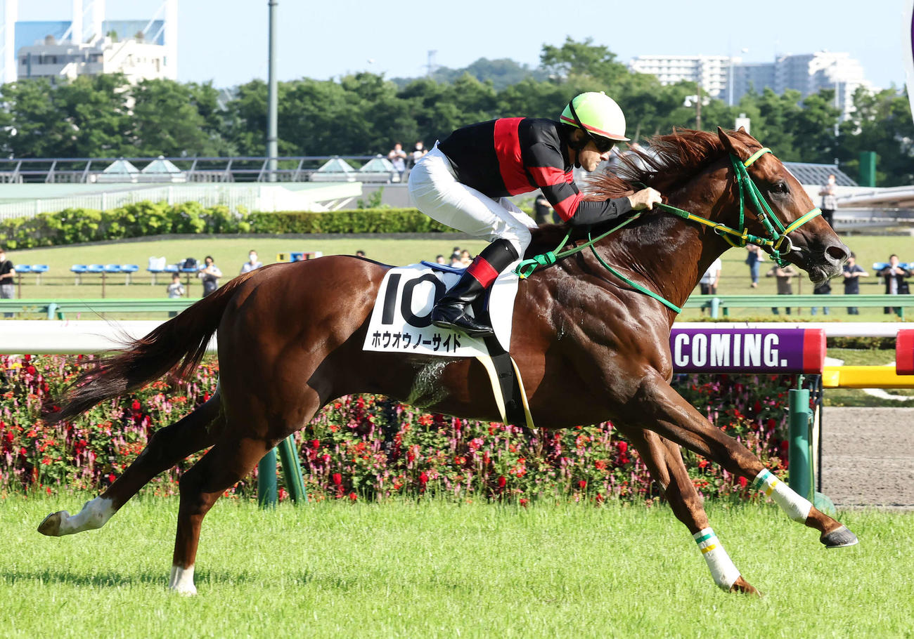 ホウオウノーサイド（2022年6月12日撮影）