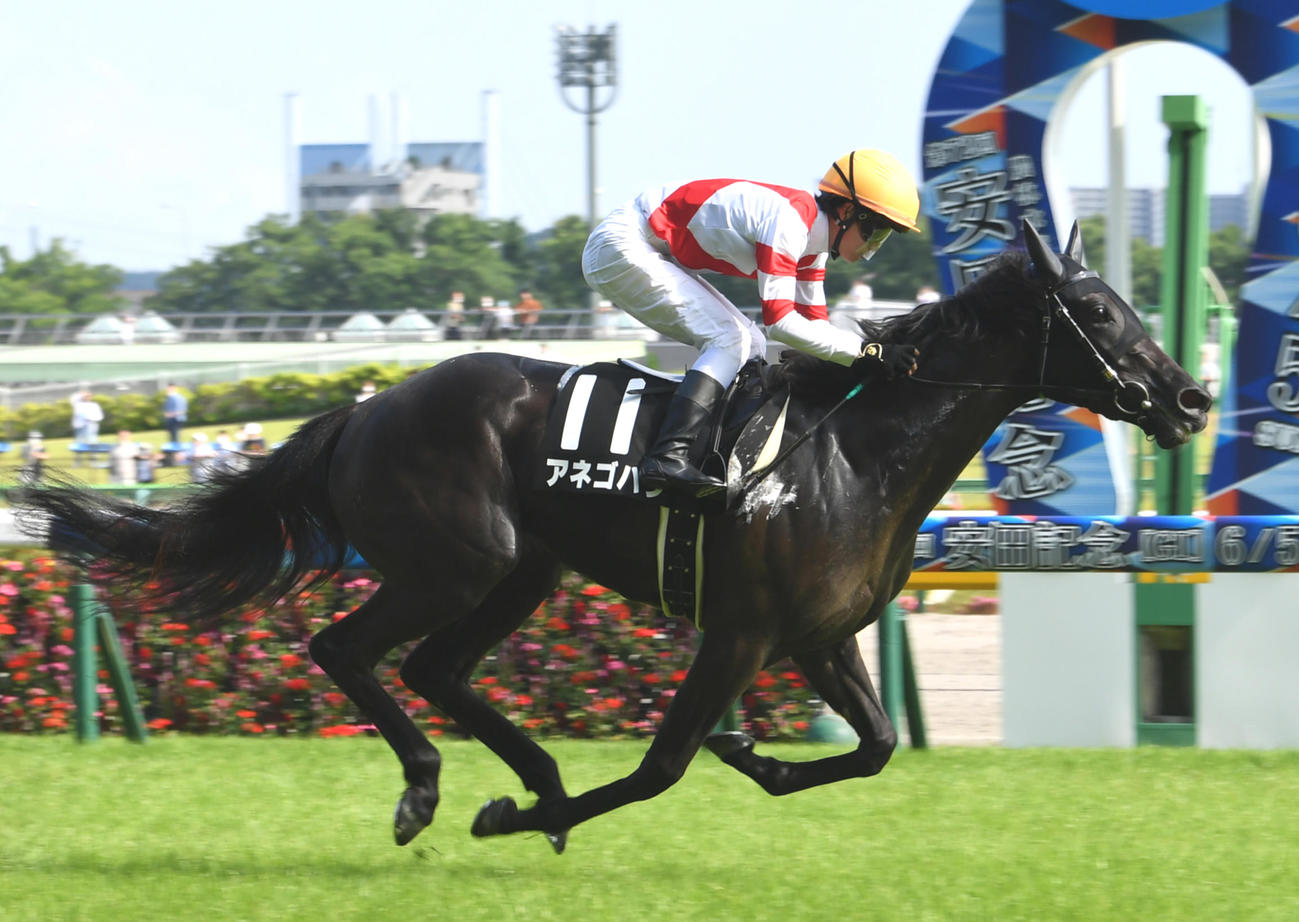4日、由比ヶ浜特別を快勝したアネゴハダと菅原明良騎手