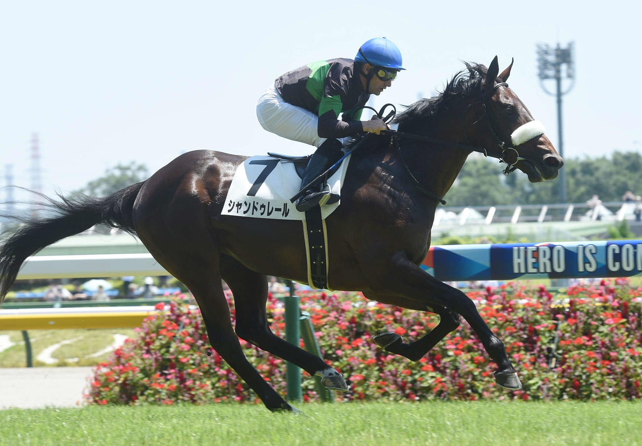 25日、新馬戦を制したシャンドゥレールとデムーロ騎手