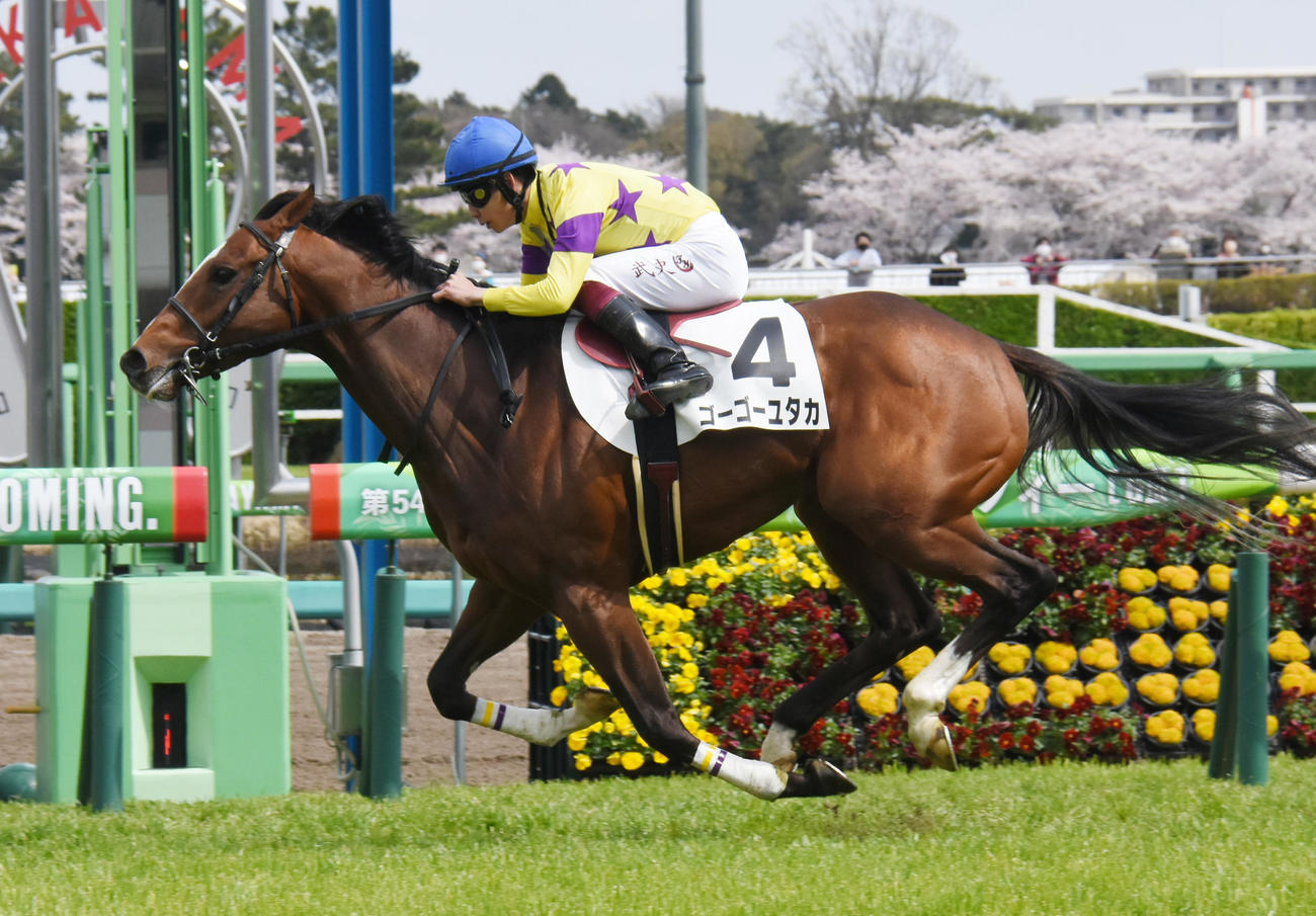 4月2日、3歳1勝クラスを快勝したゴーゴーユタカと横山武史騎手