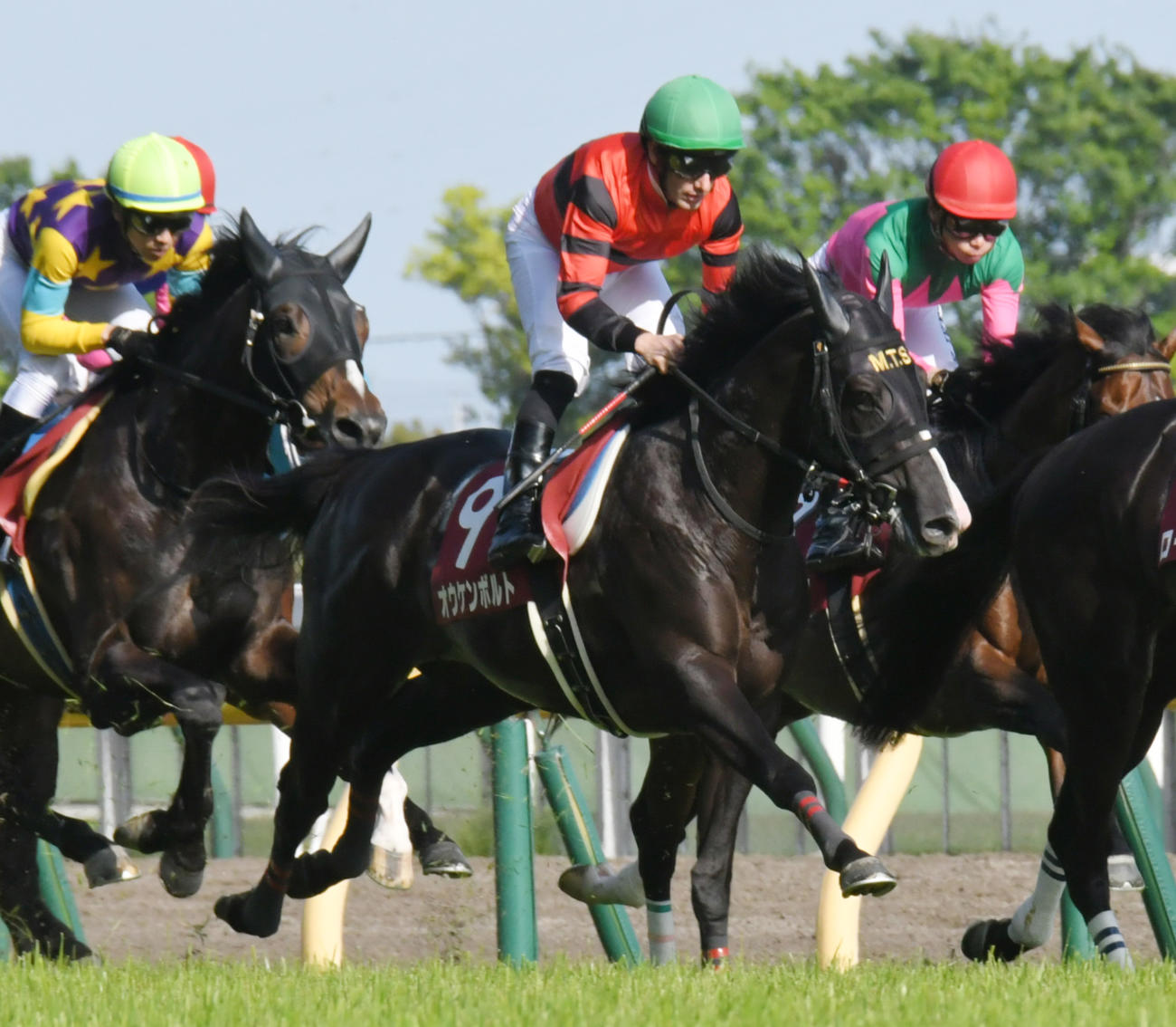 青葉賞12着に敗れたオウケンボルト（2022年4月30日撮影）