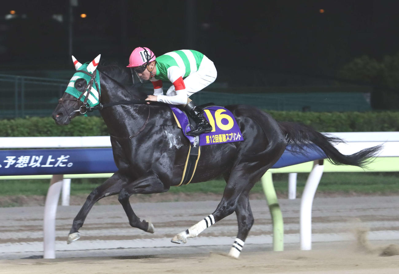 直線で抜け出し優駿スプリントを制したプライルードと本田正重騎手