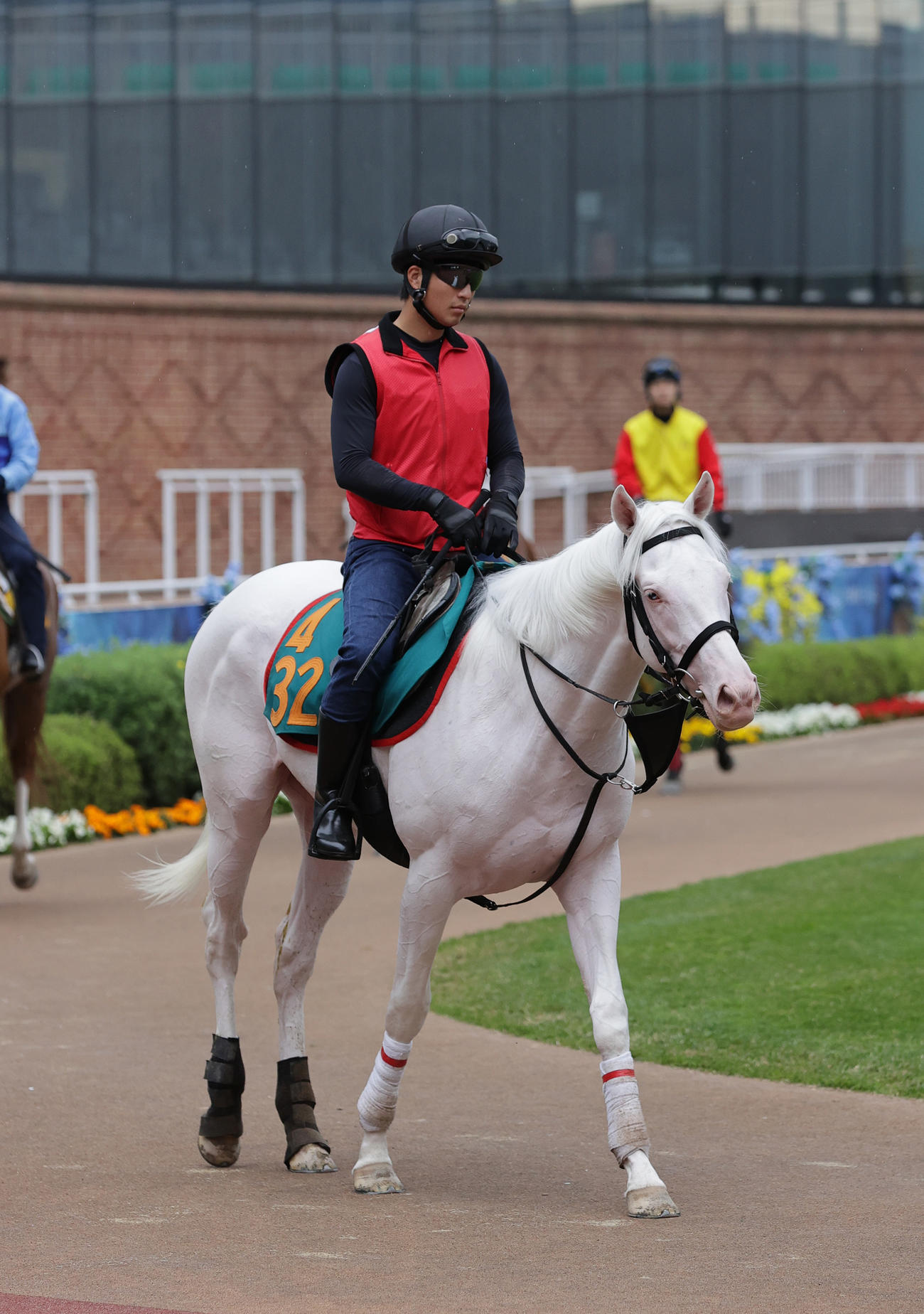 函館競馬場で順調な調整を積むアオラキ