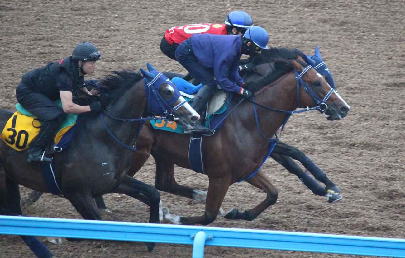 1週前追い切りで軽快に動くフロムナウオン（中央）