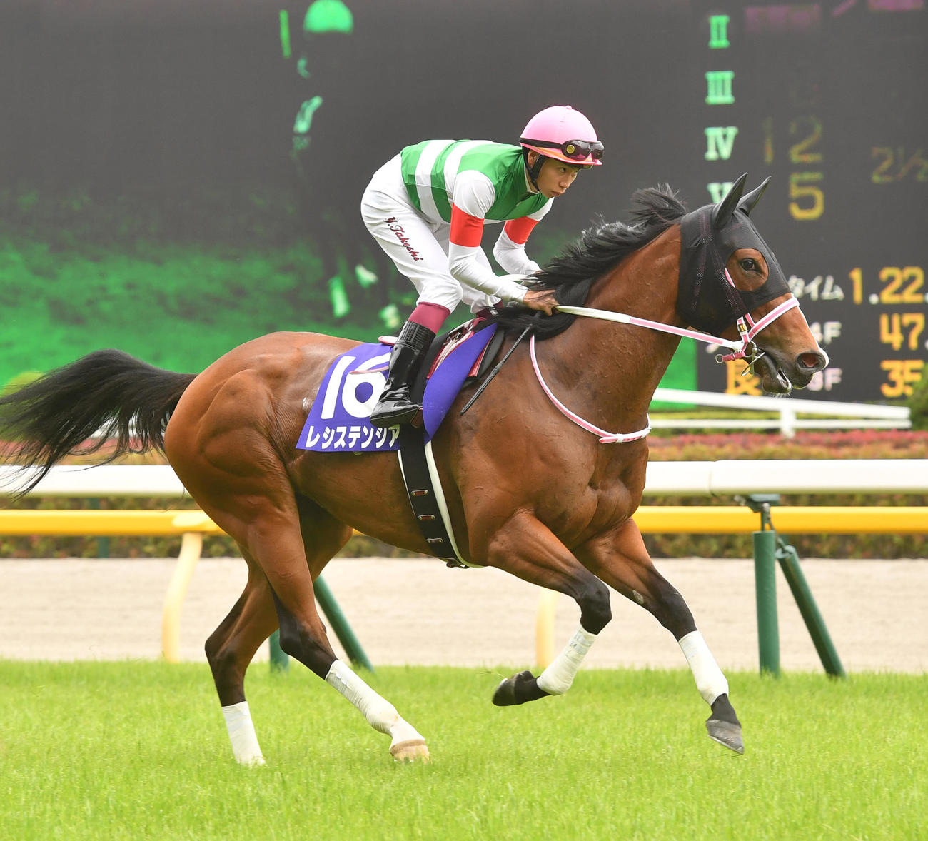 安田記念で本馬場に入場したレシステンシアと横山武史騎手（22年6月5日撮影）