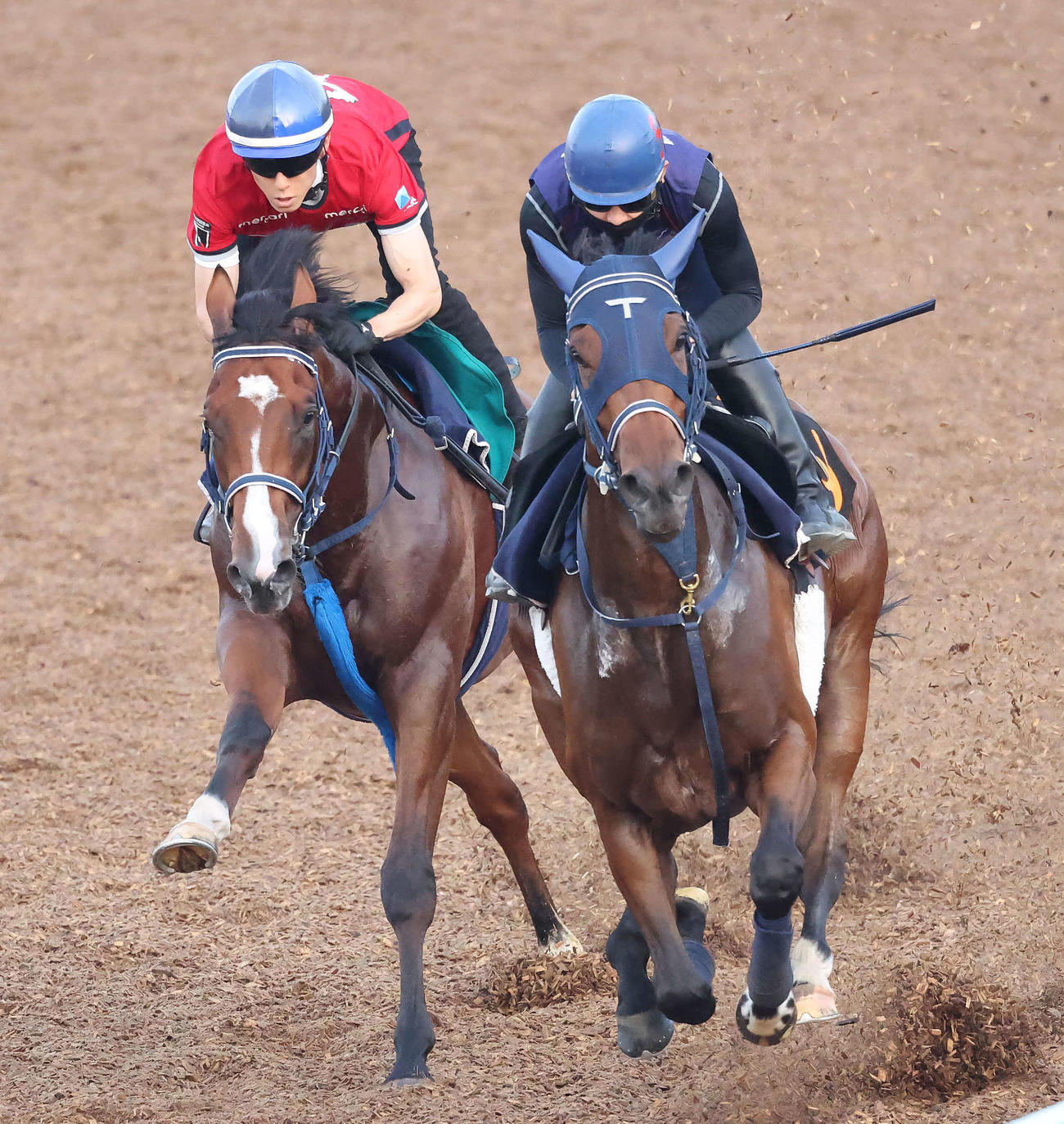 ソネットフレーズ（右）は美浦ウッドでフロムナウオンと併せて追い切られた（撮影・丹羽敏通）