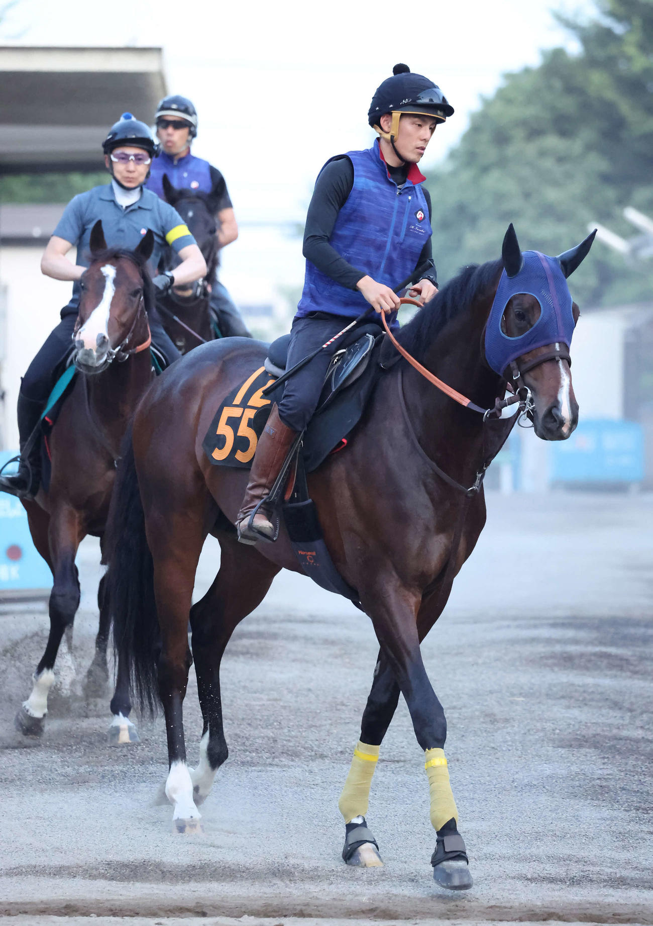 乗り運動に出発するベジャール（撮影・丹羽敏通）