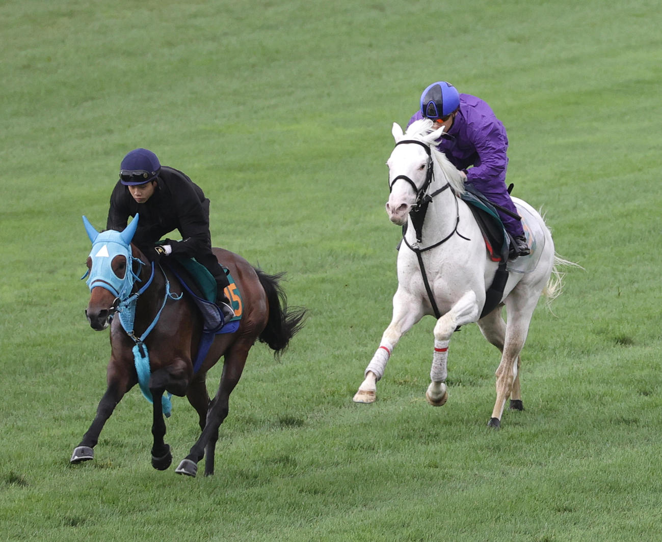 池添謙一騎手を背に、函館芝コースで併せ馬で追い切られたアオラキ（右）