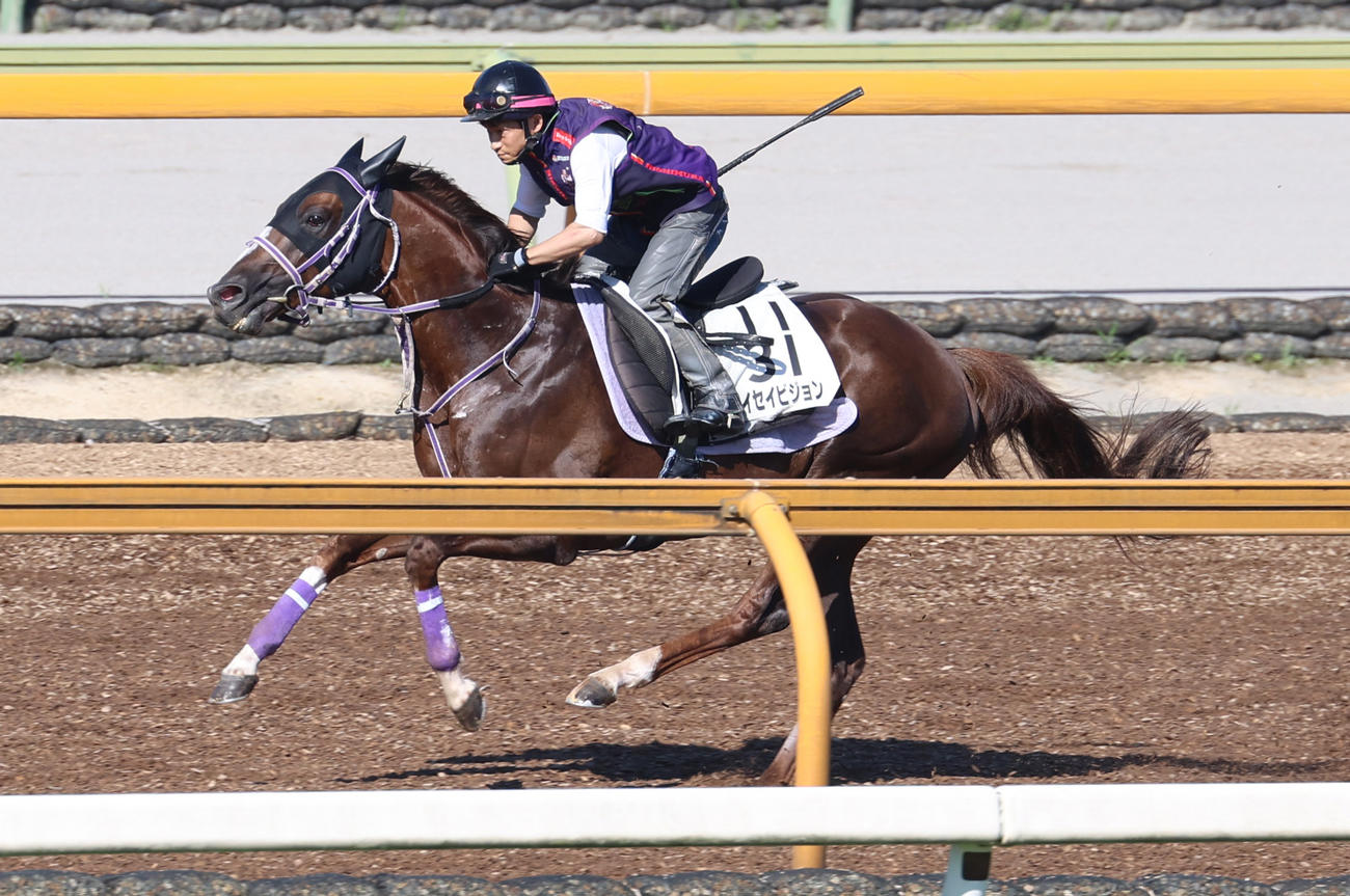 Cウッドコースで追い切るタイセイビジョン