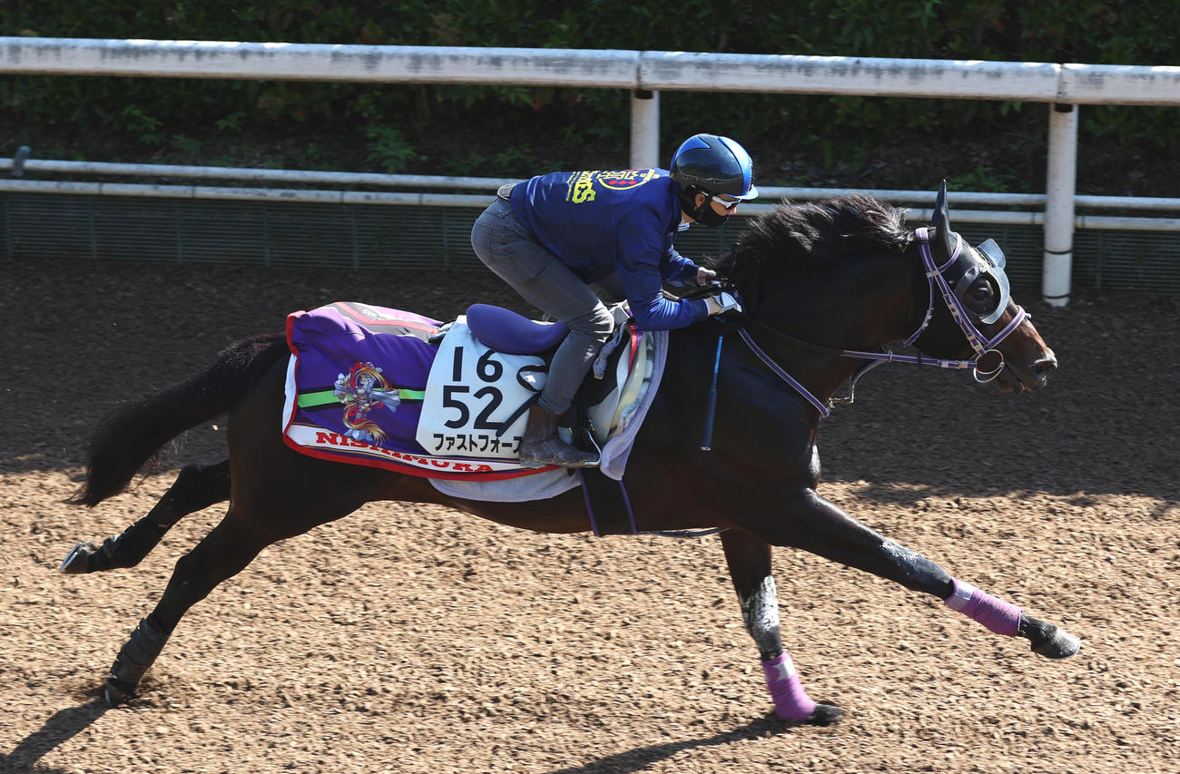 松山騎手を背に坂路を単走で追い切るファストフォース（撮影・白石智彦）