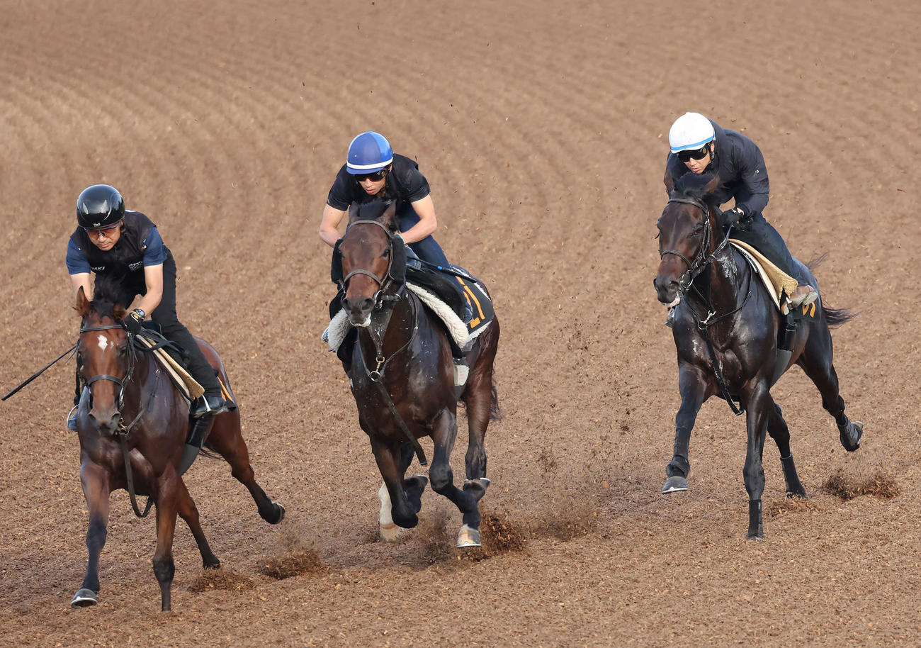 ボーンディスウェイ（右）は石橋騎手を背に美浦ウッドで先行する僚馬を追い上げた（撮影・丹羽敏通）