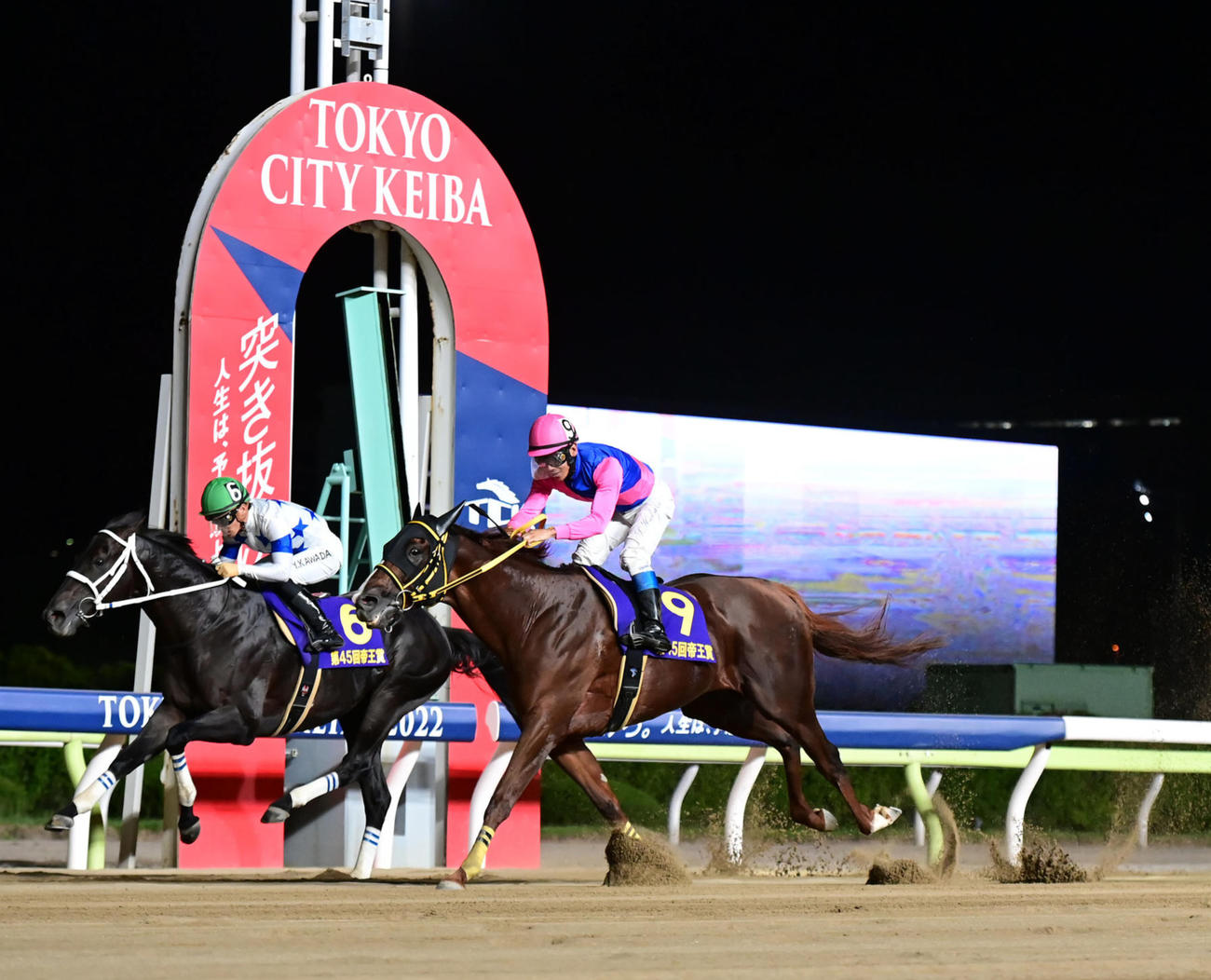 帝王賞を制した浜中騎手鞍上のメイショウハリオ。左は2着のチュウワウィザード（撮影・小沢裕）