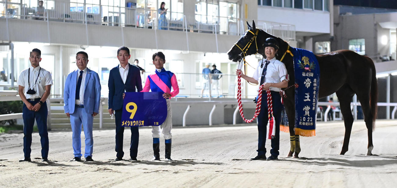 第11R、帝王賞を制した浜中俊騎手鞍上のメイショウハリオ（撮影・小沢裕）
