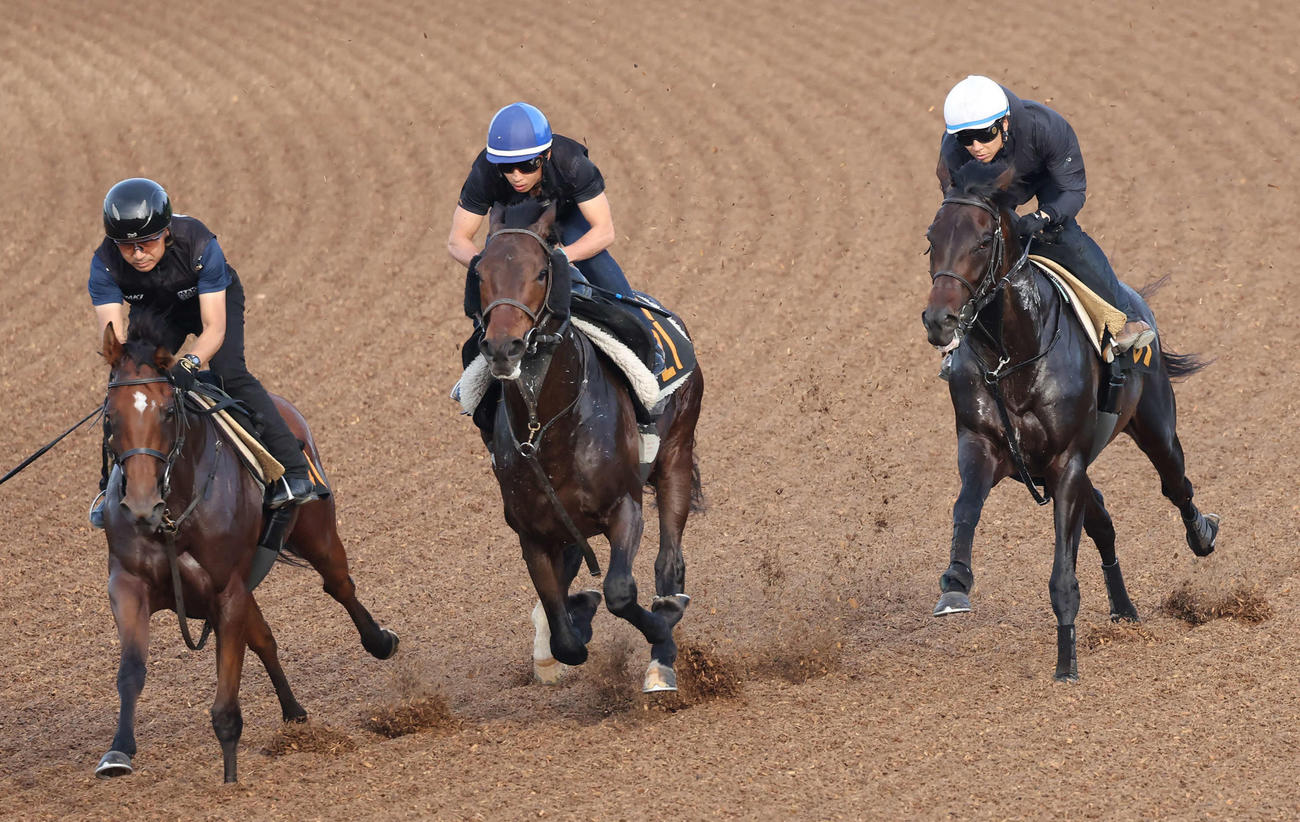 ボーンディスウェイ（右）は石橋騎手を背に美浦ウッドで先行する僚馬を追い上げた（撮影・丹羽敏通）