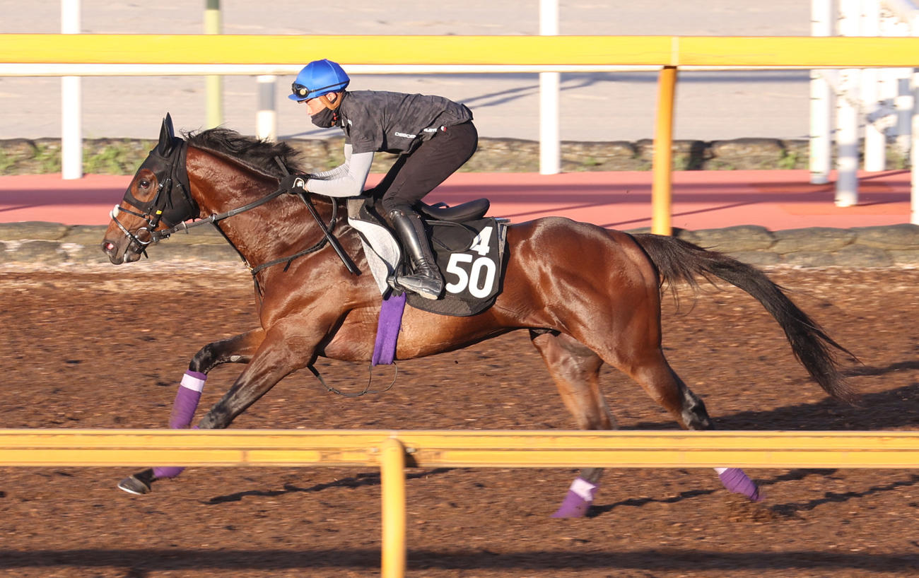 岩田望騎手を背にCウッドで追い切るサトノヘリオス