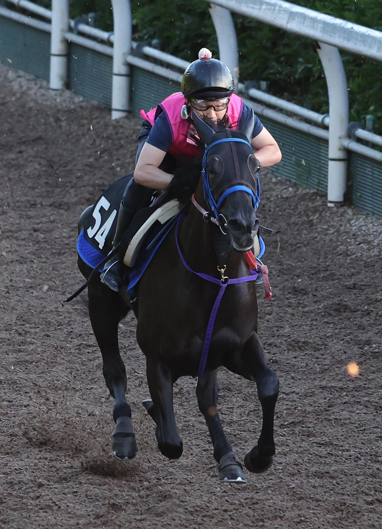 坂路を単走で追い切り、ラスト12秒1をマークしたアネゴハダ（撮影・白石智彦）