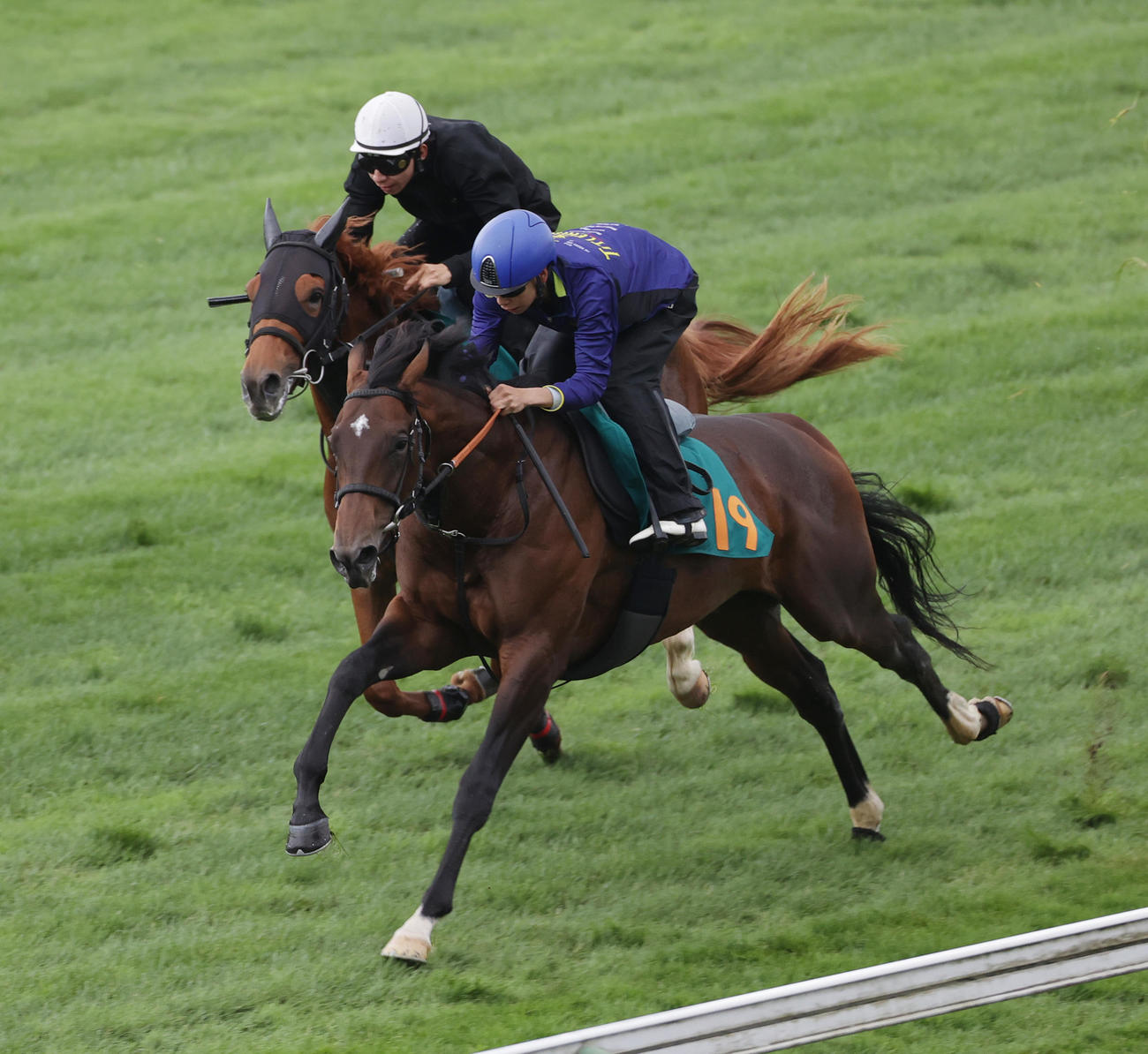 横山武騎手を背に、函館芝コースを併せ馬で追い切られたルクスグローリア（手前）