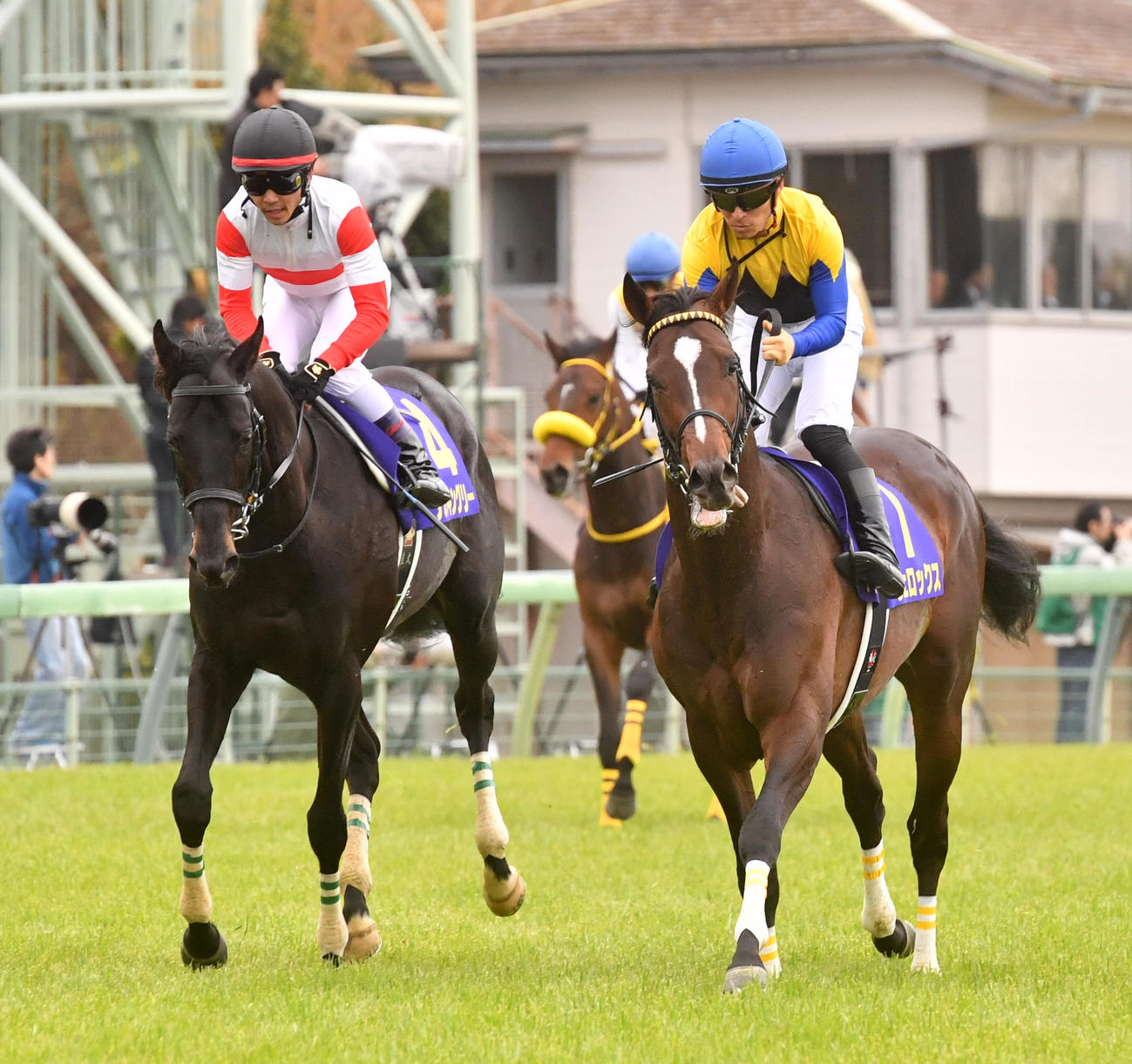 皐月賞2着に敗れたヴェロックス（右）（2019年4月14日撮影）