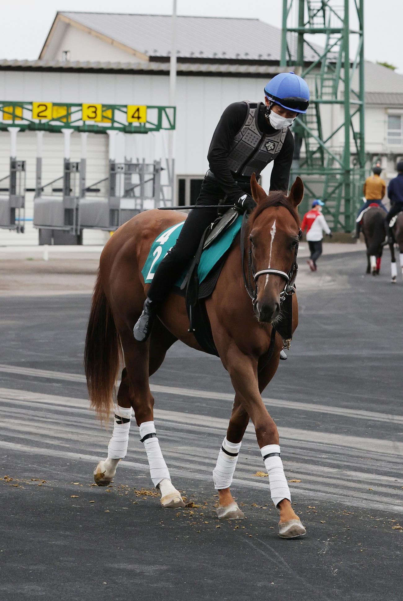 函館競馬場で順調な調整を積むプエルトボニータ