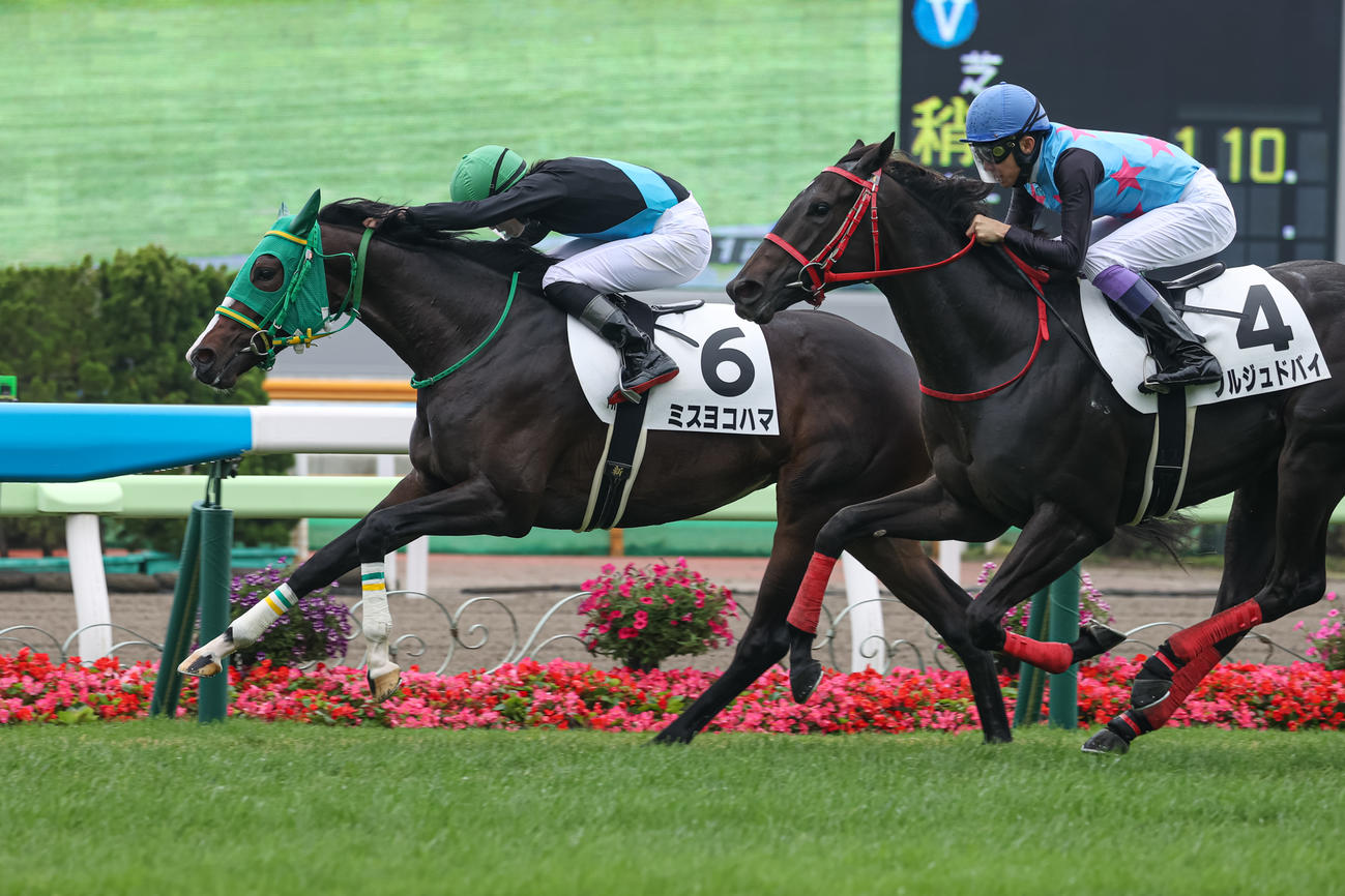 函館1R、2歳未勝利を勝ち上がったミスヨコハマ（撮影・村野早祐）