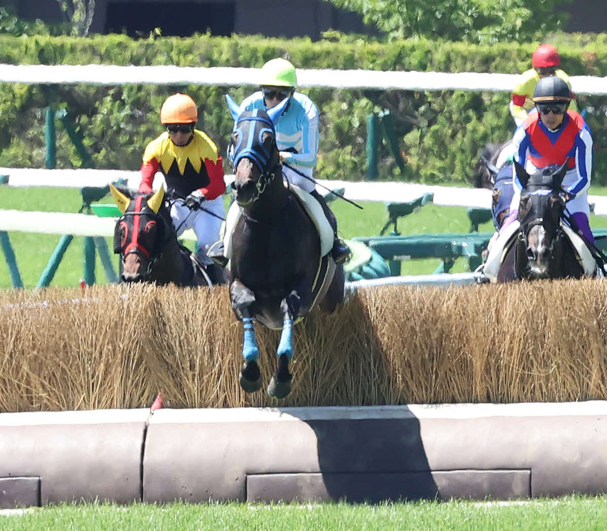 福島1R、障害未勝利戦を制したバルンストックと小牧加騎手（中央）（撮影・丹羽敏通）
