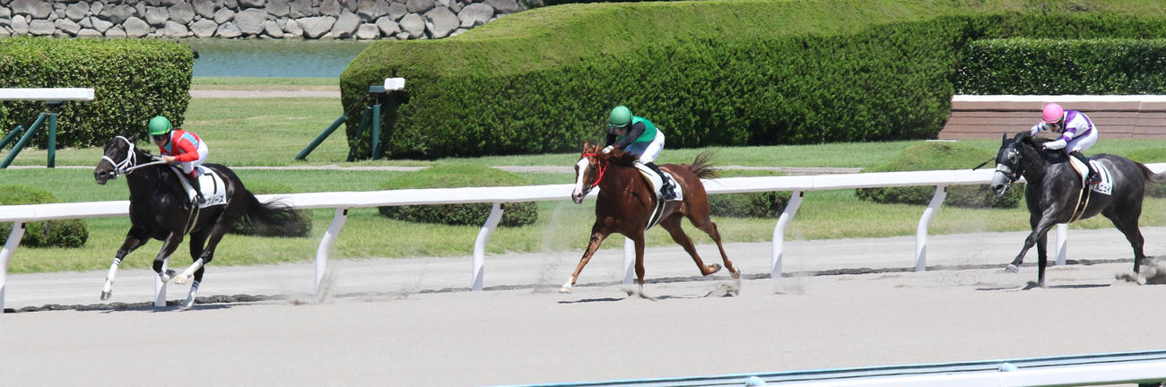 小倉2R・3歳未勝利を逃げ切ったイプノーズ（左）（撮影・渦原淳）