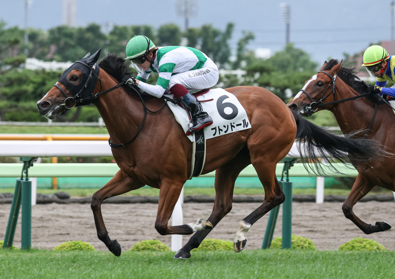 デビュー戦を勝利したブトンドール（撮影・村野早祐）