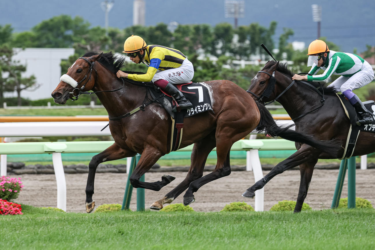 洞爺湖特別を制したクライミングリリー（撮影・村野早祐）