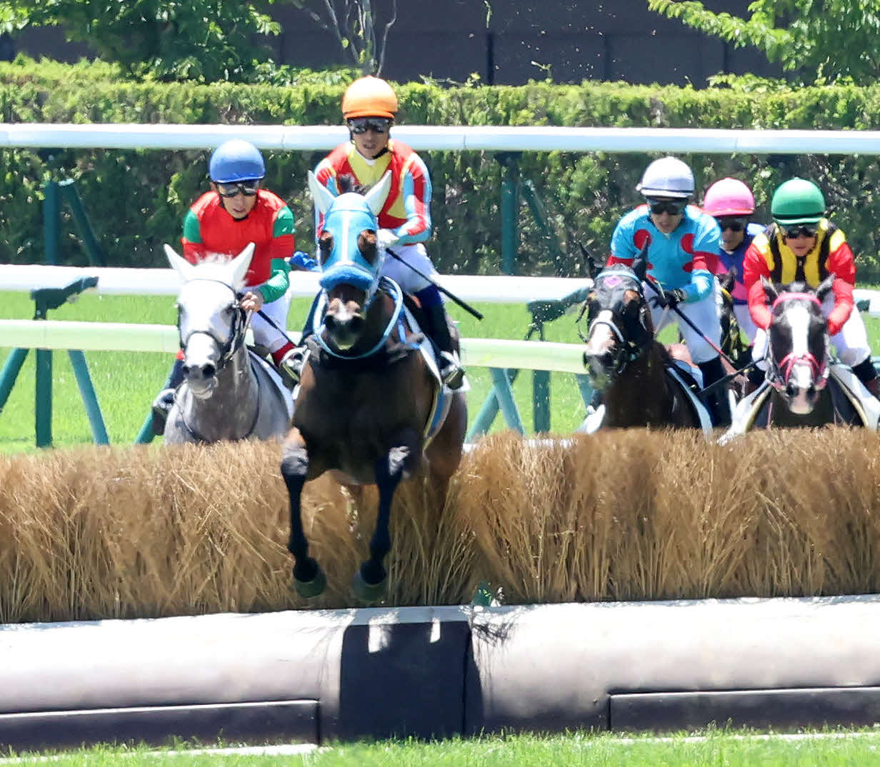 福島4R、障害3歳上オープン戦を制したナギサと森一騎手（左から2頭目）（撮影・丹羽敏通）