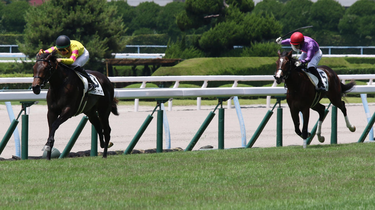逃げ切って新馬戦を圧勝したサツマノオンナ（撮影・渦原淳）