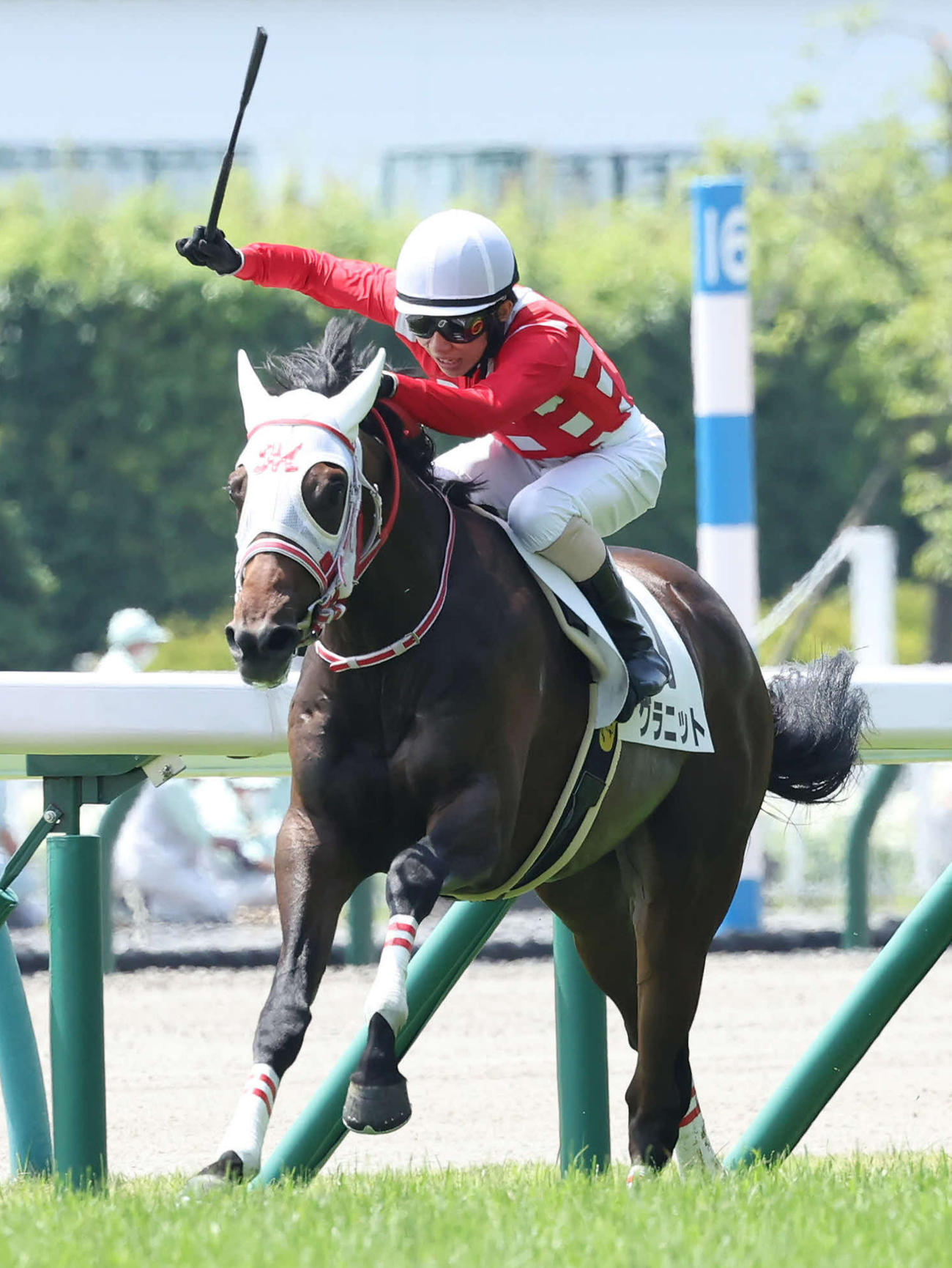 福島1R、2歳未勝利戦を制したグラニットと嶋田騎手（撮影・丹羽敏通）