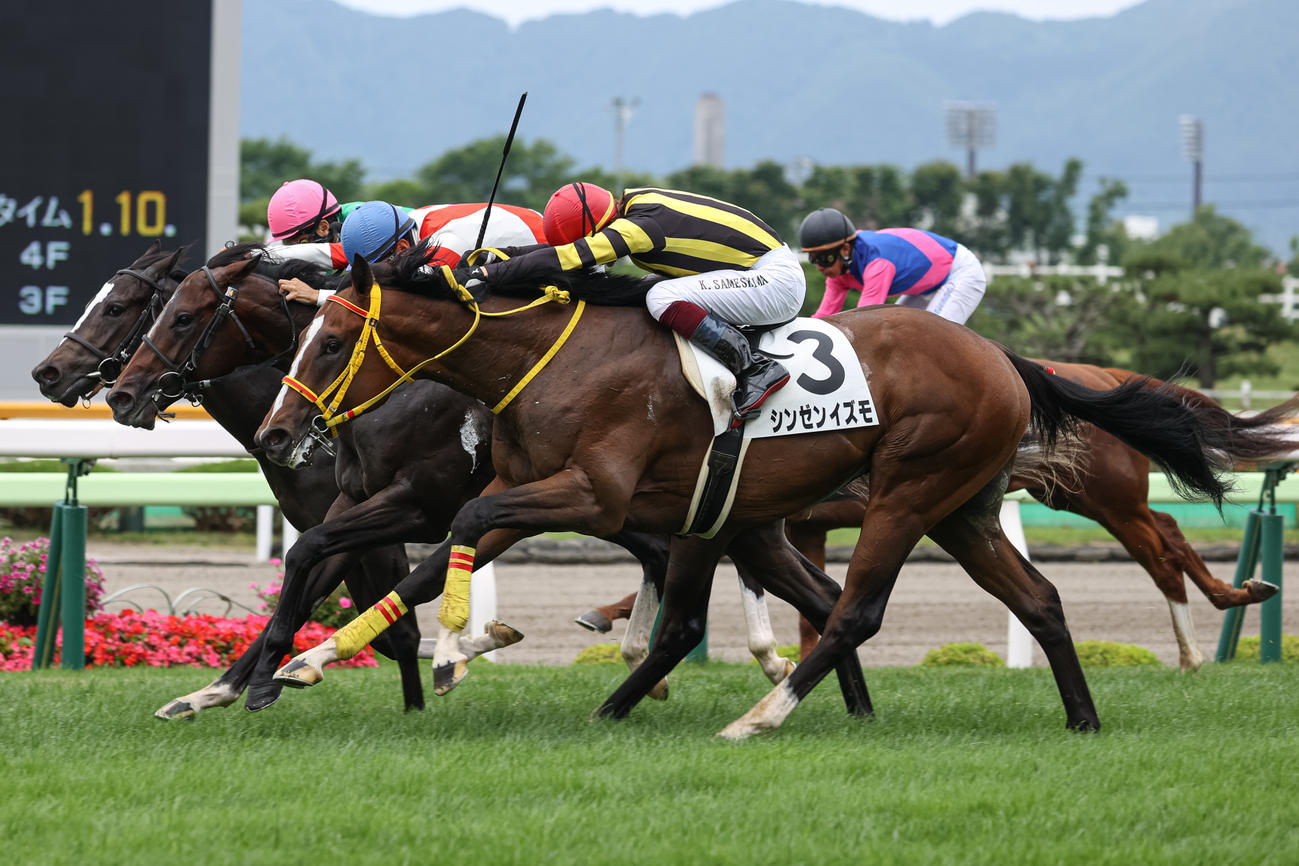 外から差し切り2歳未勝利を勝ち上がったシンゼンイズモ（撮影・村野早祐）