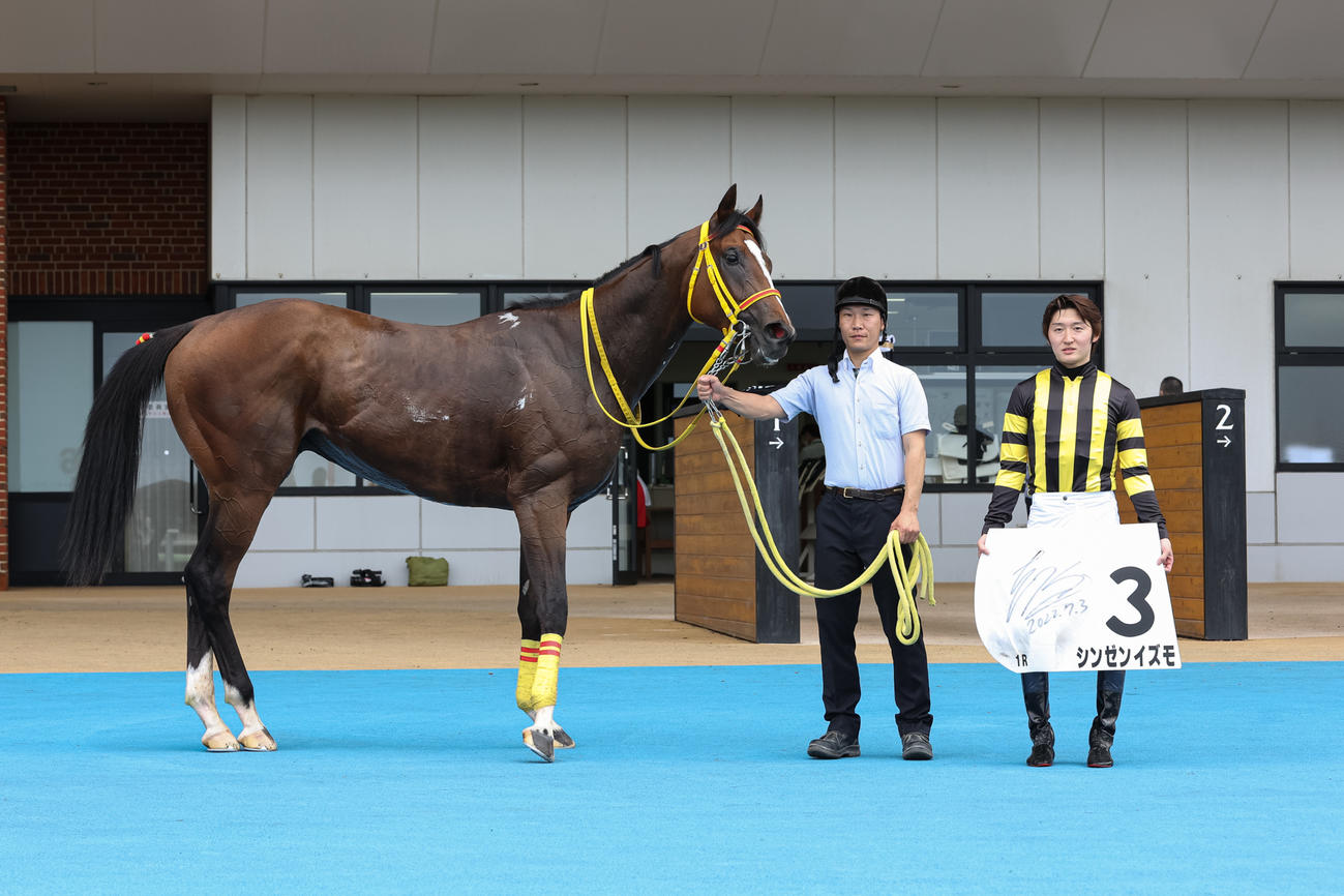 2歳未勝利を勝ち上がったシンゼンイズモ（撮影・村野早祐）