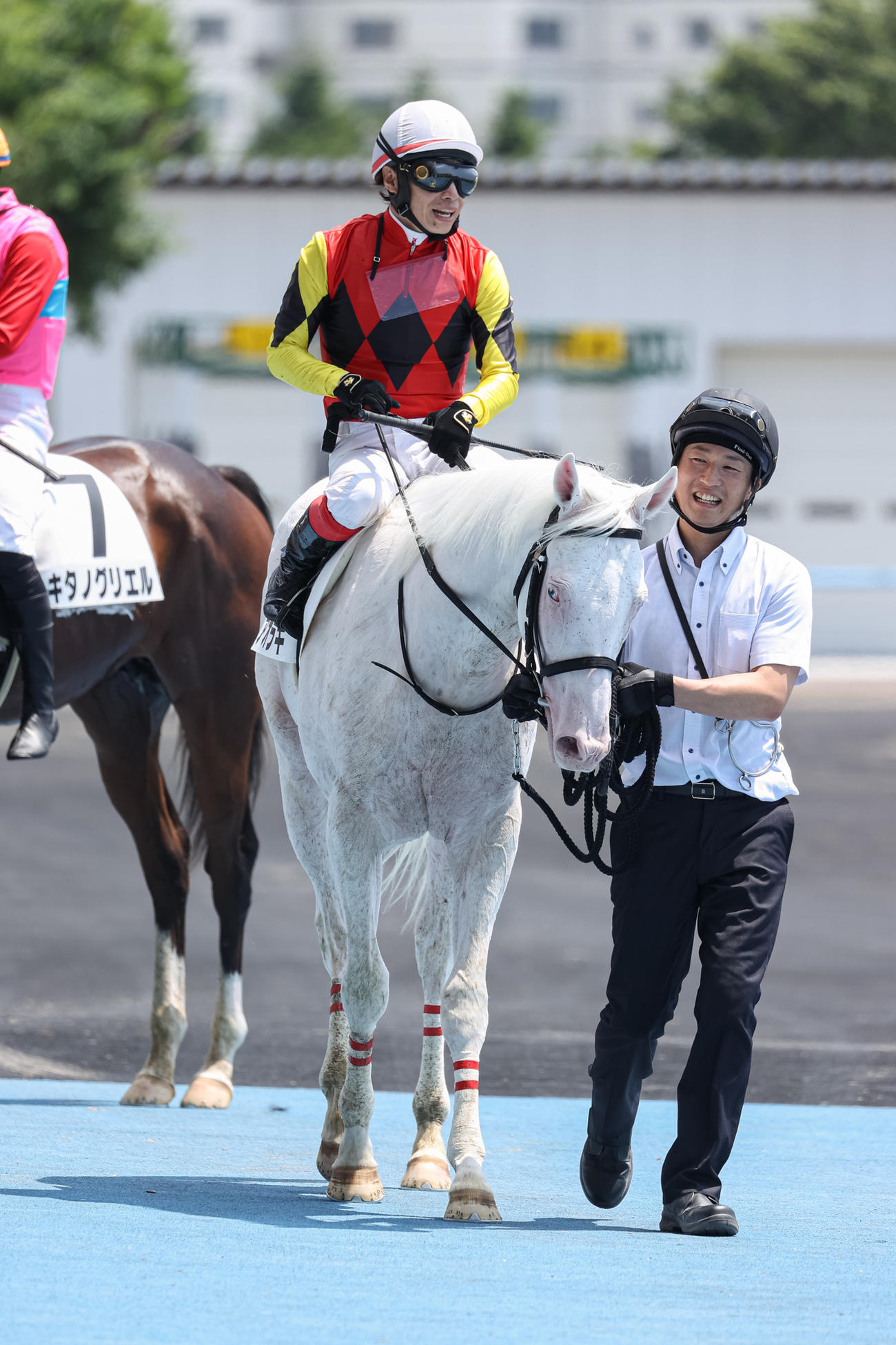 函館5Rでデビューし4着に敗れたアオラキ（撮影・村野早祐）