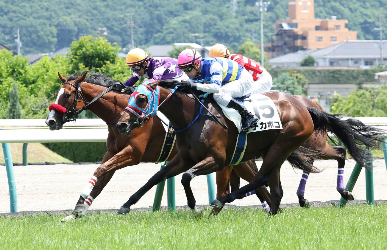 福島6R、デビュー戦を制したチカポコと石橋脩騎手（手前）（撮影・丹羽敏通）