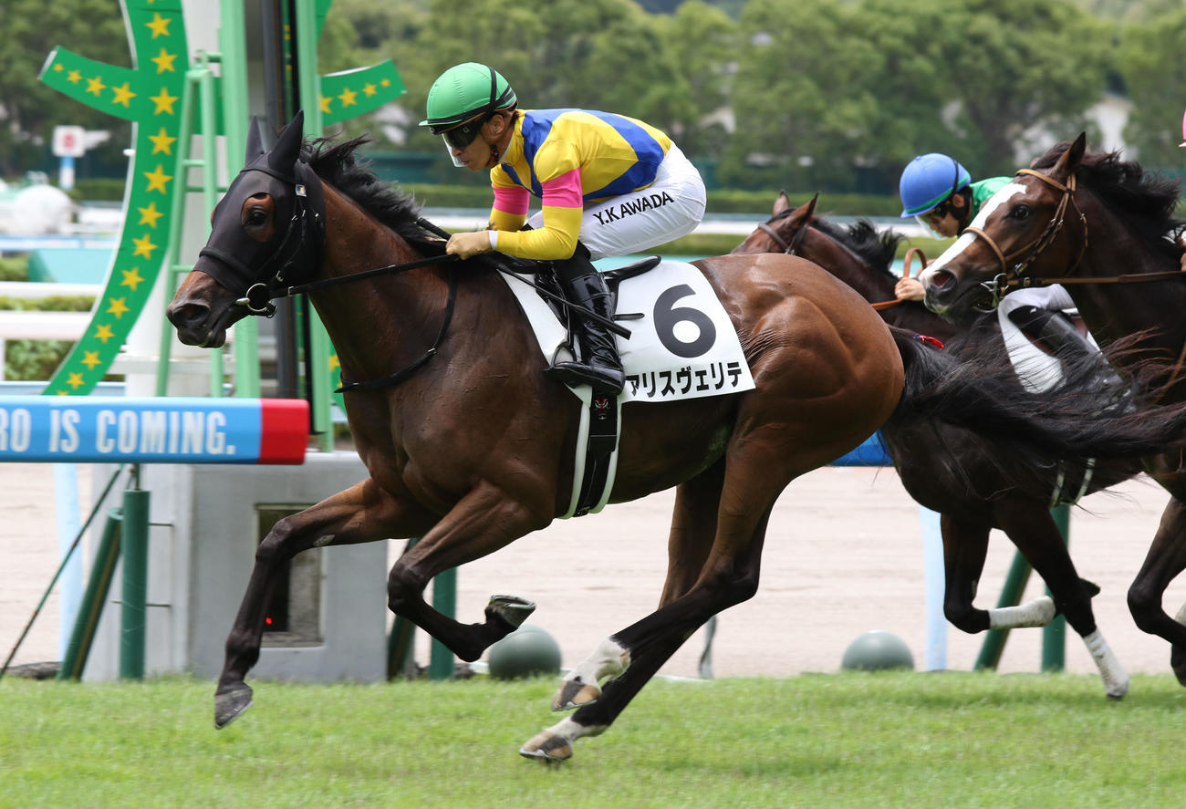 小倉5R、新馬戦を快勝したアリスヴェリテ（撮影・渦原淳）