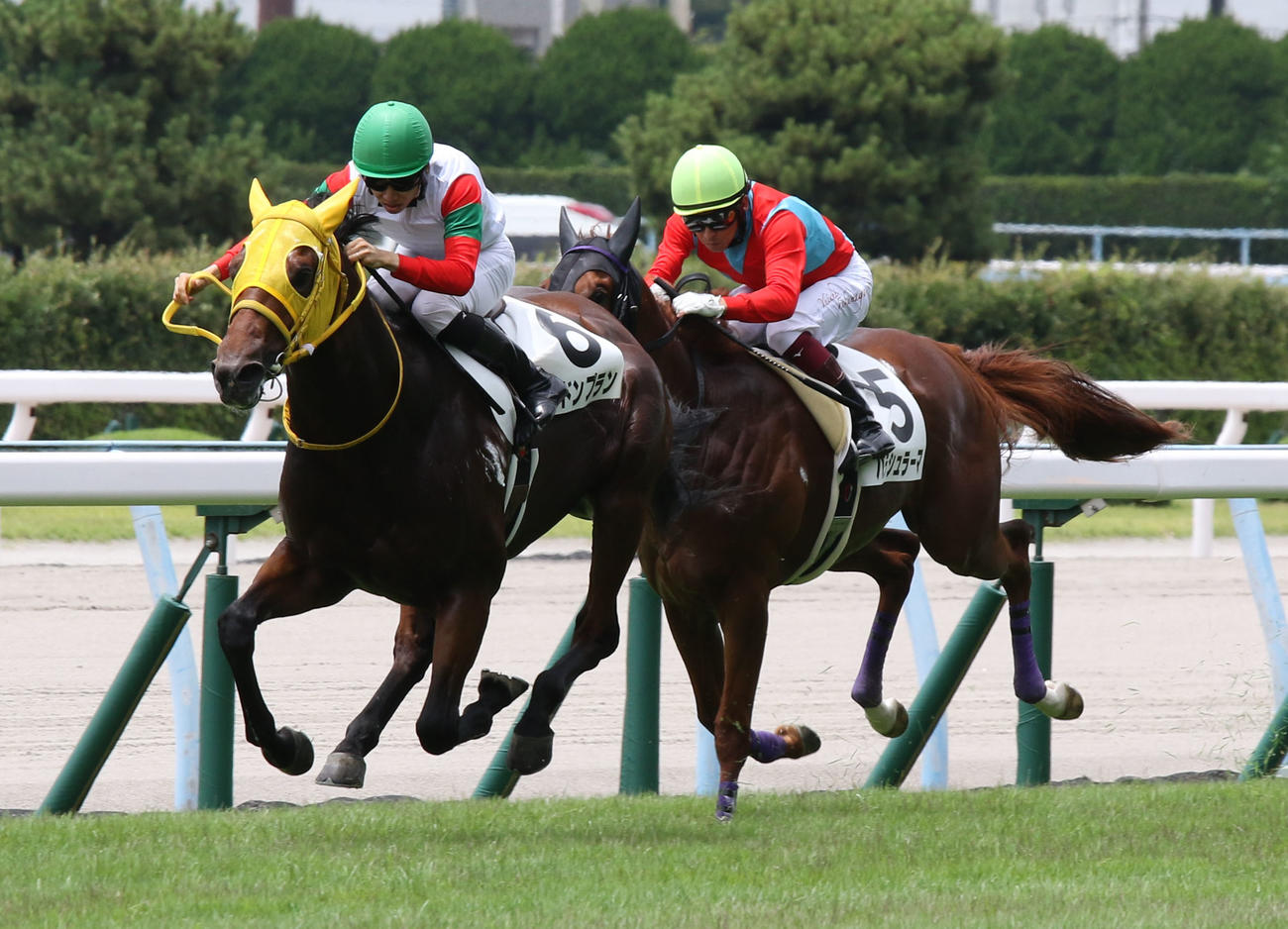 小倉6R、新馬戦を快勝したロンドンプラン（左）（撮影・渦原淳）